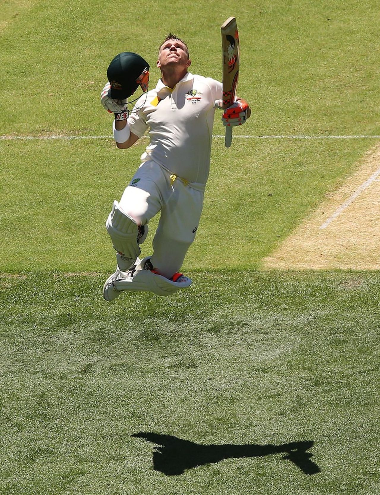 David Warner leaps in celebration, Australia v India, 1st Test, Adelaide, 1st day, December 9, 2014