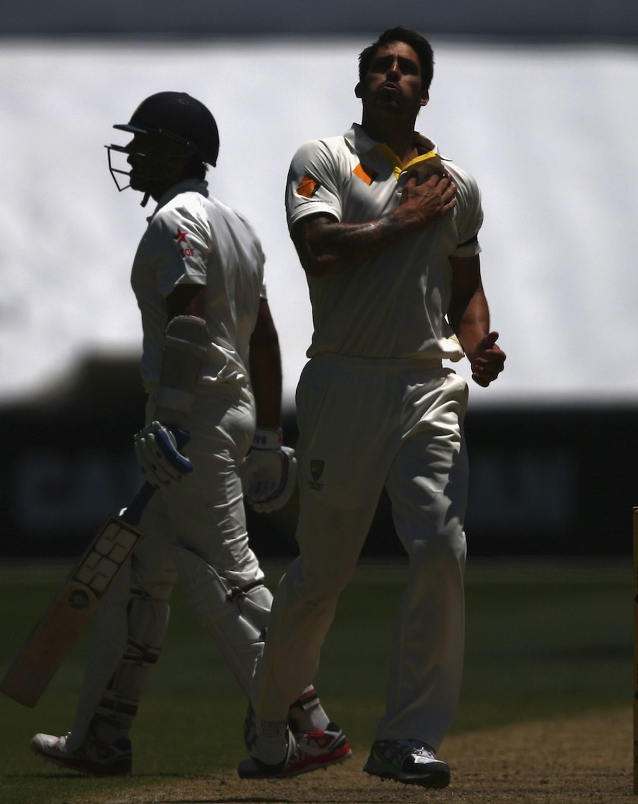 Mitchell Johnson celebrates the dismissal of M Vijay, Australia v India, 1st Test, Adelaide, 3rd day, December 11, 2014