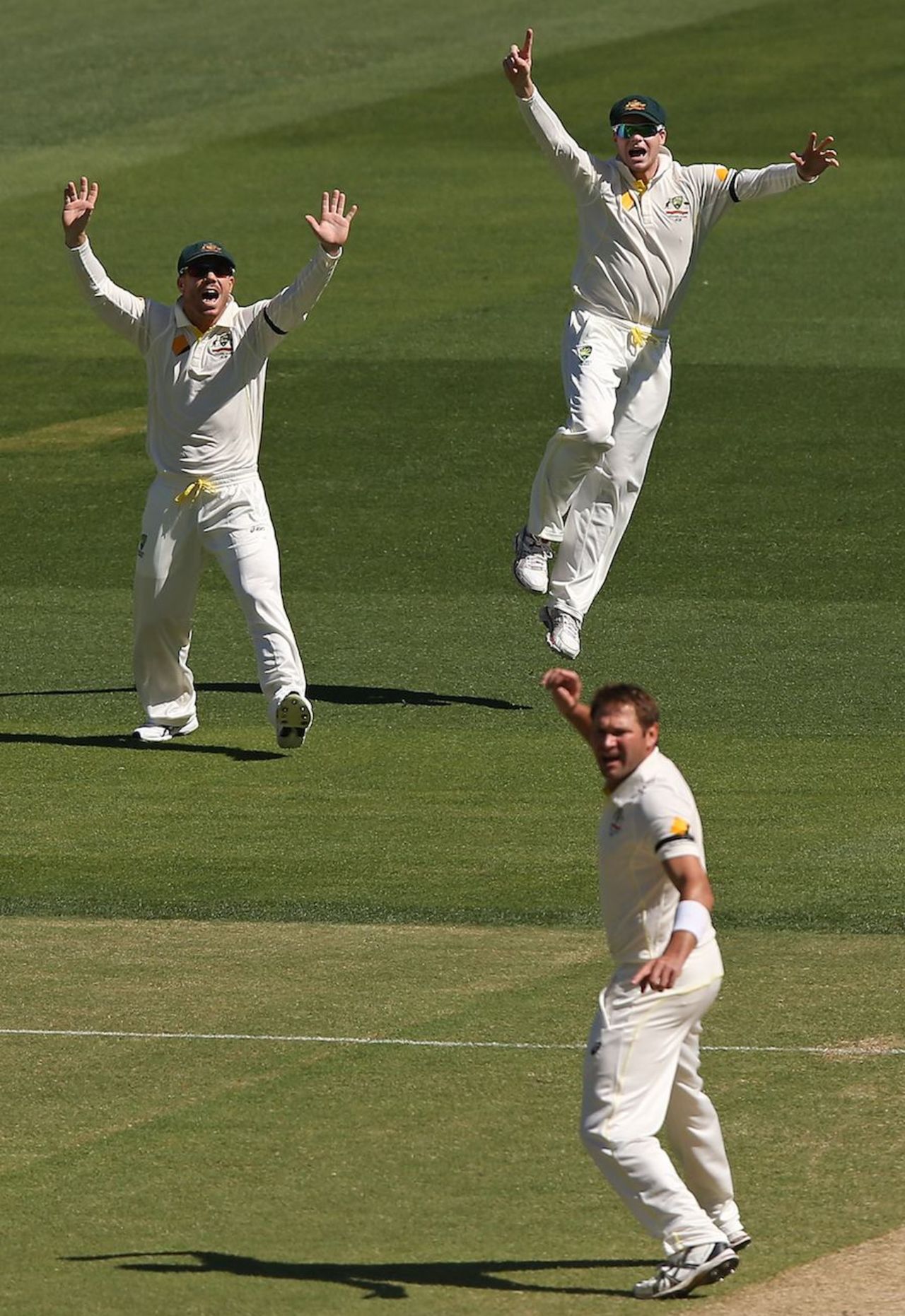 David Warner, Steven Smith and Ryan Harris appeal unsuccessfully, Australia v India, 1st Test, Adelaide, 4th day, December 12, 2014