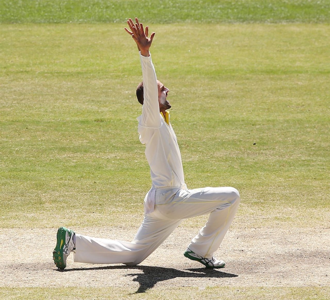 Nathan Lyon appeals for M Vijay's wicket, Australia v India, 1st Test, Adelaide, 5th day, December 13, 2014