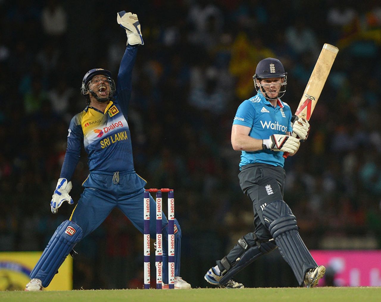 Eoin Morgan was given out lbw on review, Sri Lanka v England, 7th ODI, Colombo, December 16, 2014