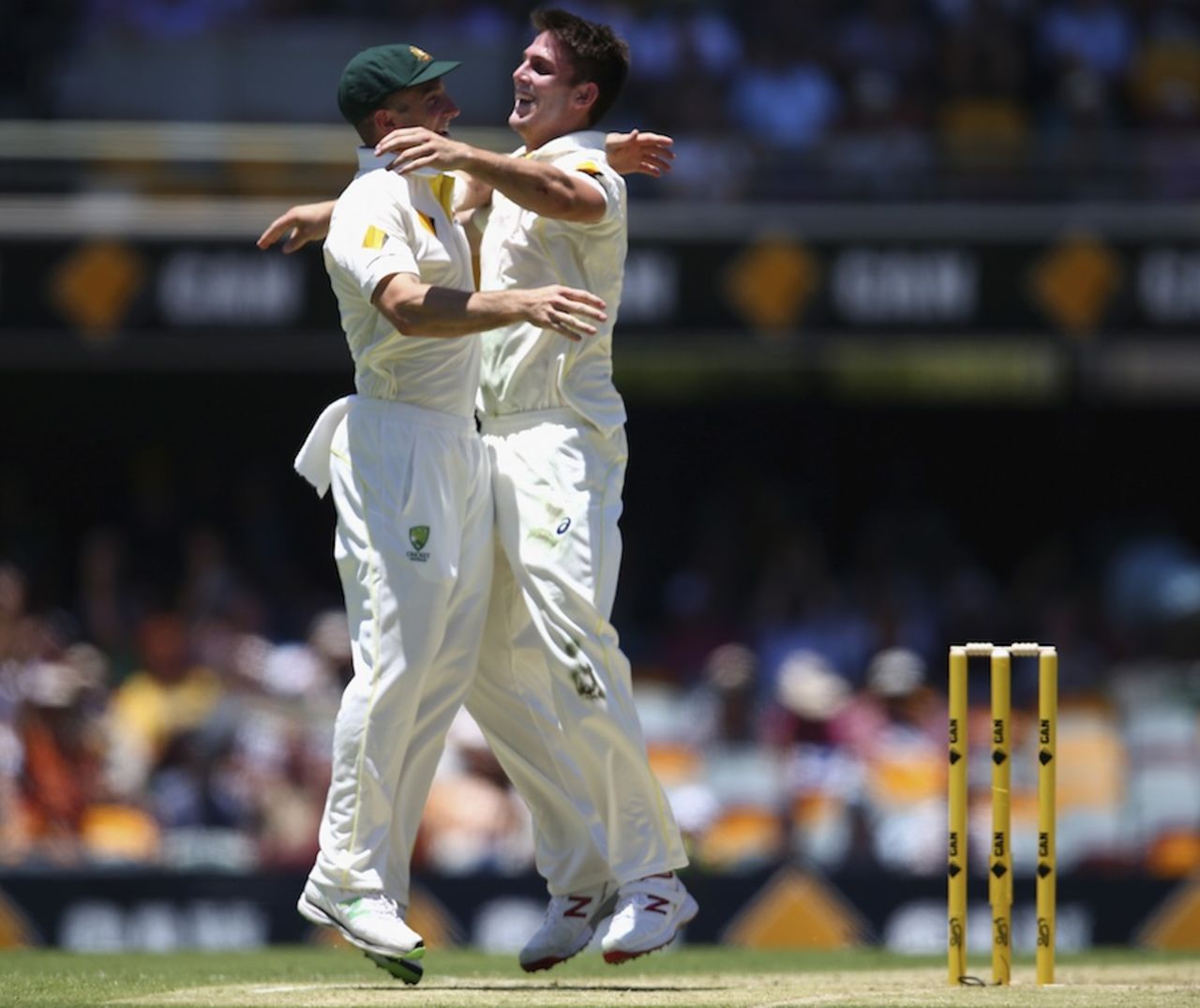 The brothers Marsh celebrate Mitchell's first Test wicket, Australia v India, 2nd Test, Brisbane, 1st day, December 17, 2014