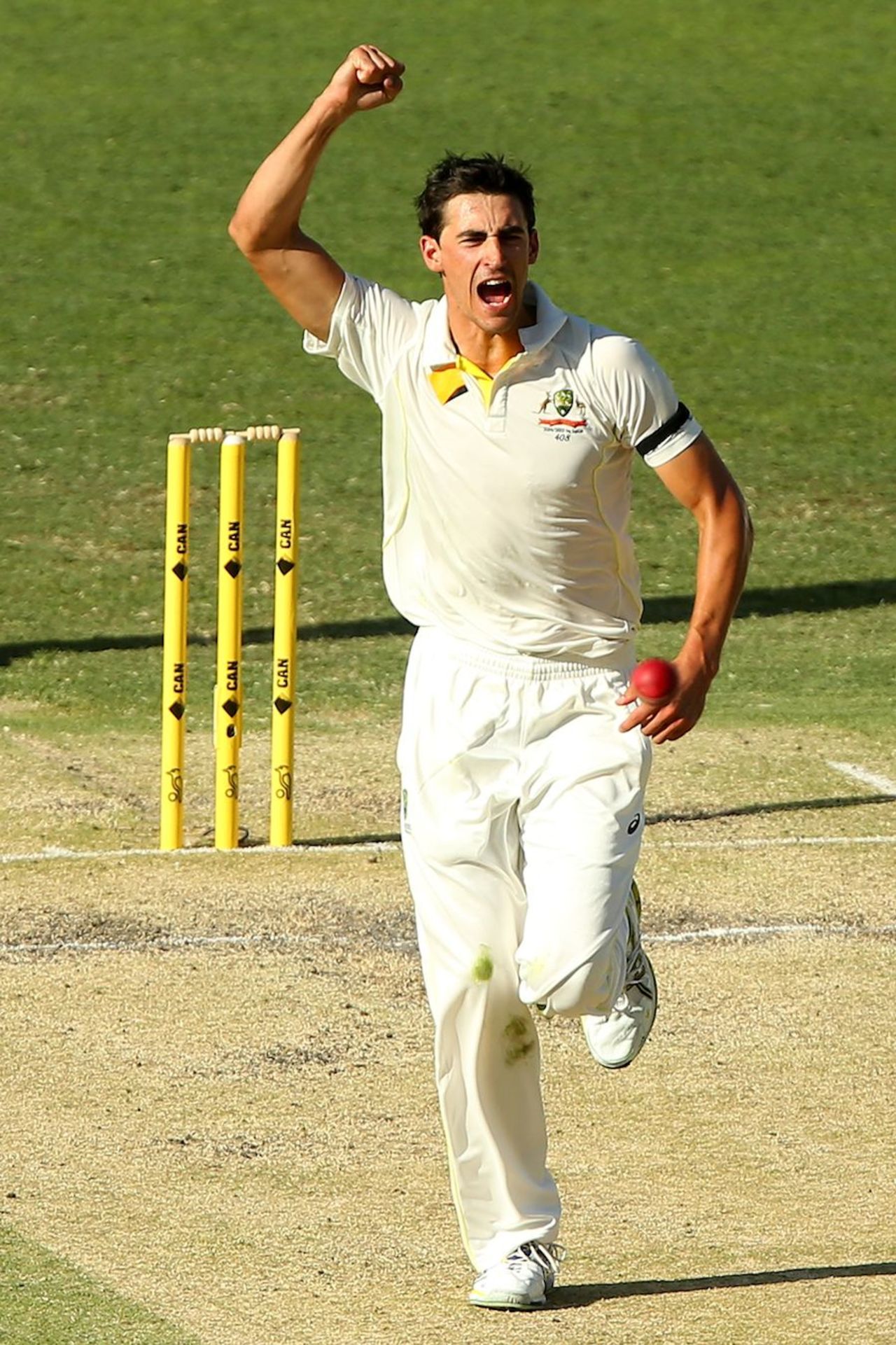 Mitchell Starc celebrates M Vijay's wicket, Australia v India, 2nd Test, Brisbane, 3rd day, December 19, 2014