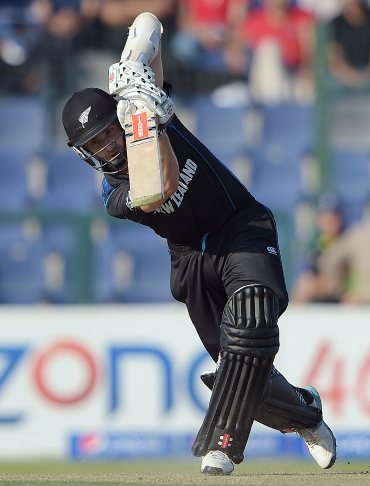 Kane Williamson collected yet another fifty, Pakistan v New Zealand, 5th ODI, Abu Dhabi, December 19, 2014