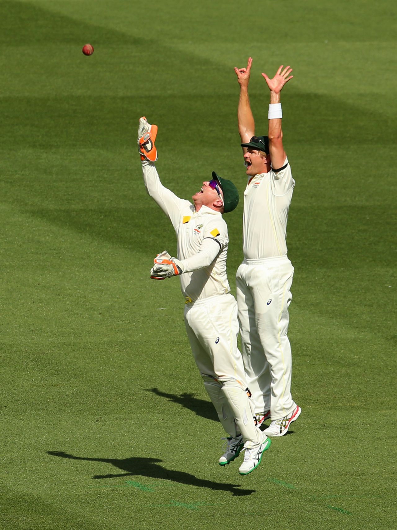 Brad Haddin claimed  a catch to dismiss MS Dhoni, Australia v India, 3rd Test, Melbourne, 3rd day, December 28, 2014