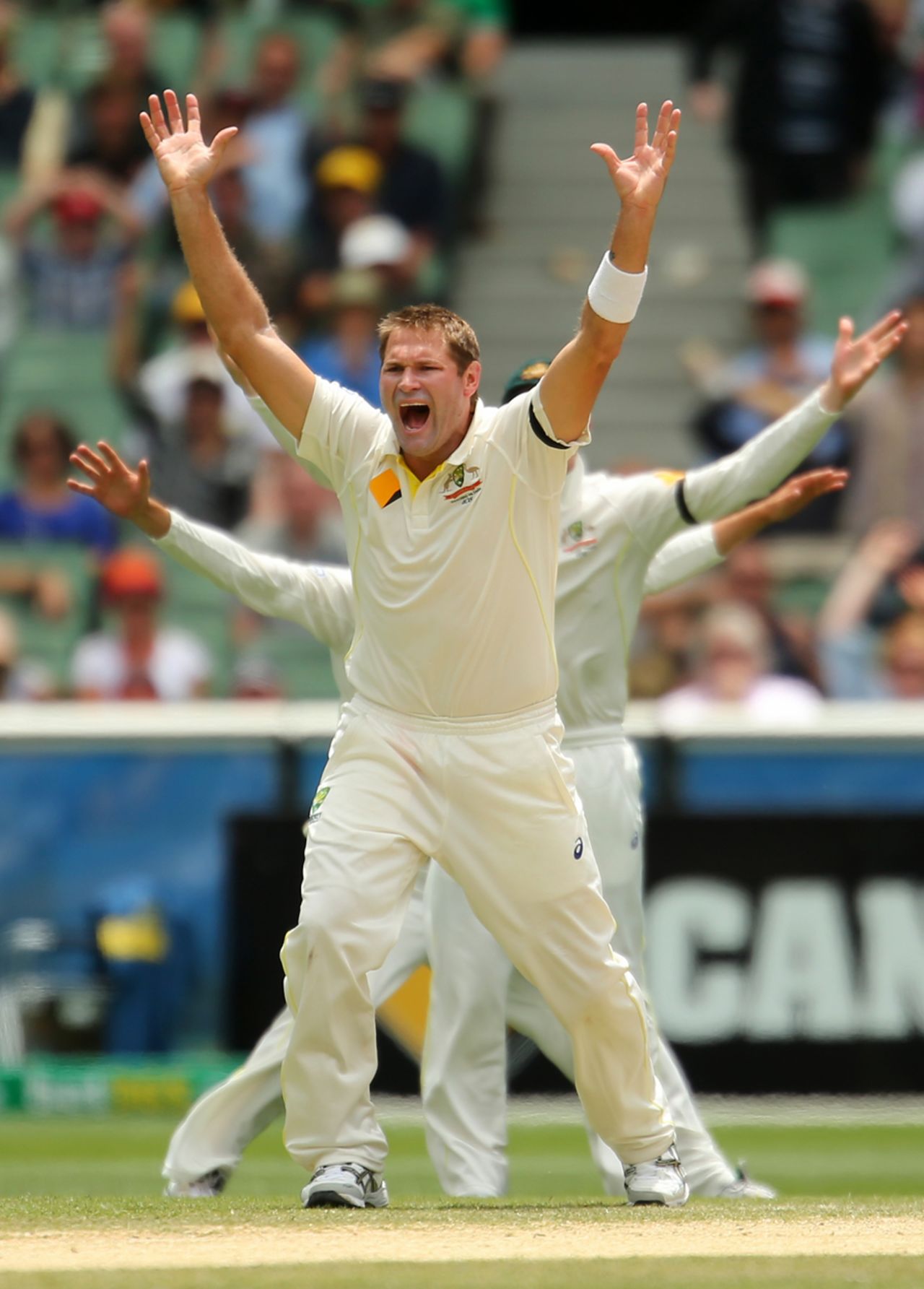 Ryan Harris roars in appeal, Australia v India, 3rd Test, Melbourne, 5th day, December 30, 2014
