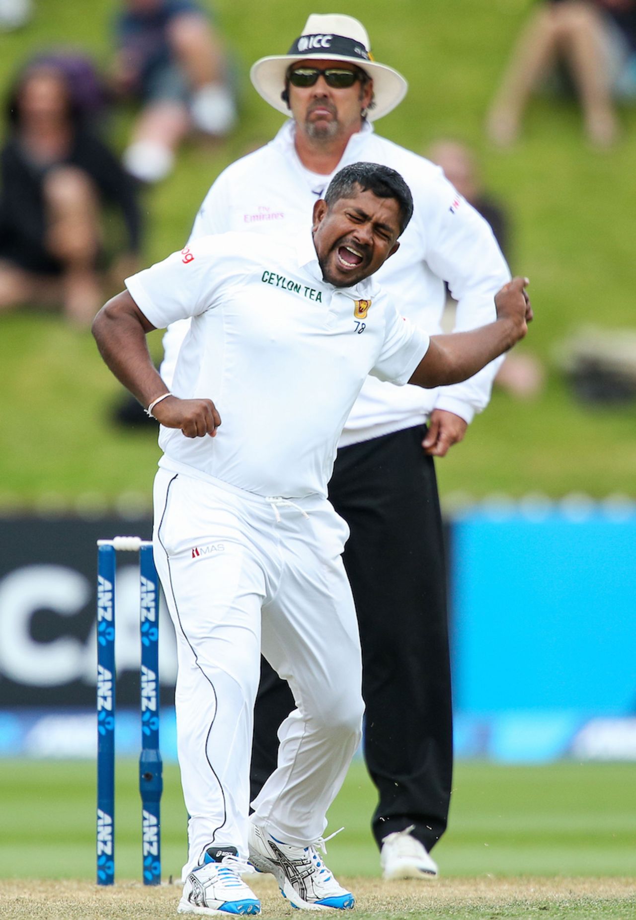 Rangana Herath is jubilant after dismissing Ross Taylor, New Zealand v Sri Lanka, 2nd Test, Wellington, 3rd day, January 5, 2015