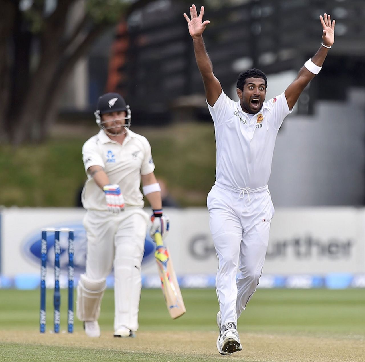 Dhammika Prasad appeals successfully for an lbw, New Zealand v Sri Lanka, 2nd Test, Wellington, 3rd day, January 5, 2015