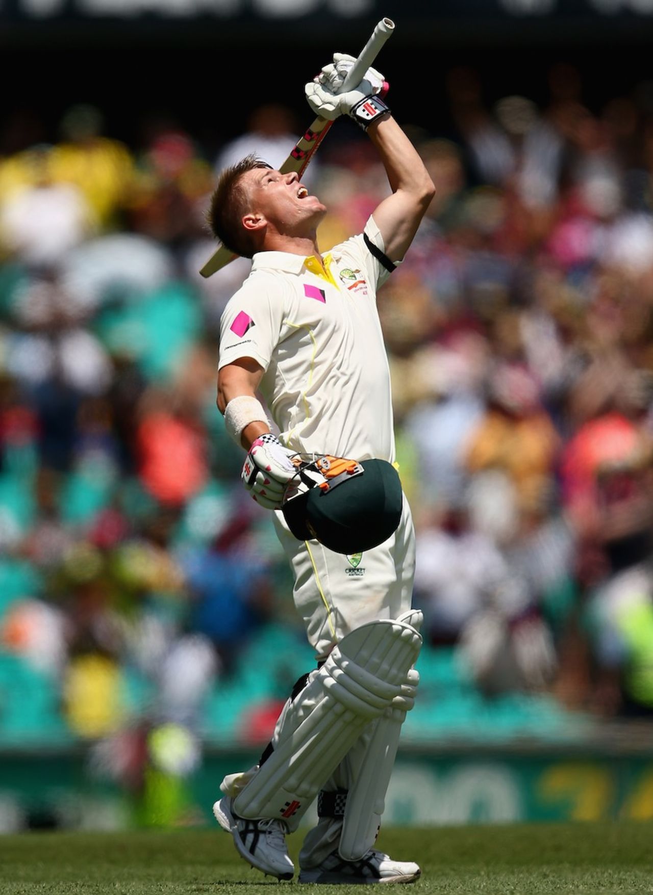 David Warner looks to the skies while celebrating his century, Australia v India, 4th Test, Sydney, 1st day, January 6, 2015