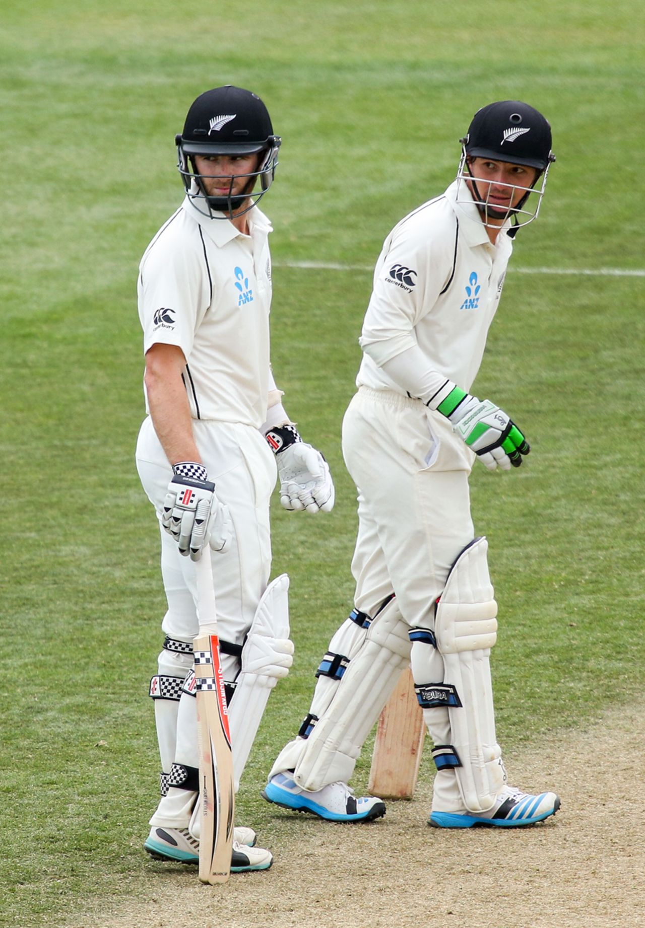 Kane Williamson and BJ Watling take a breather during their mammoth stand, New Zealand v Sri Lanka, 2nd Test, Wellington, 4th day, January 6, 2015