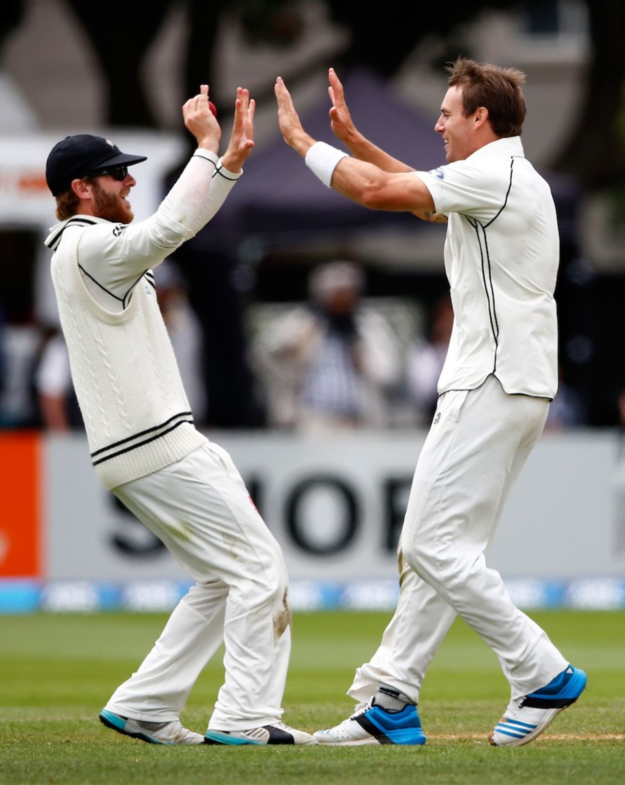 Doug Bracewell and Kane Williamson celebrate Angelo Mathews' wicket, New Zealand v Sri Lanka, 2nd Test, Wellington, 5th day, January 7, 2015