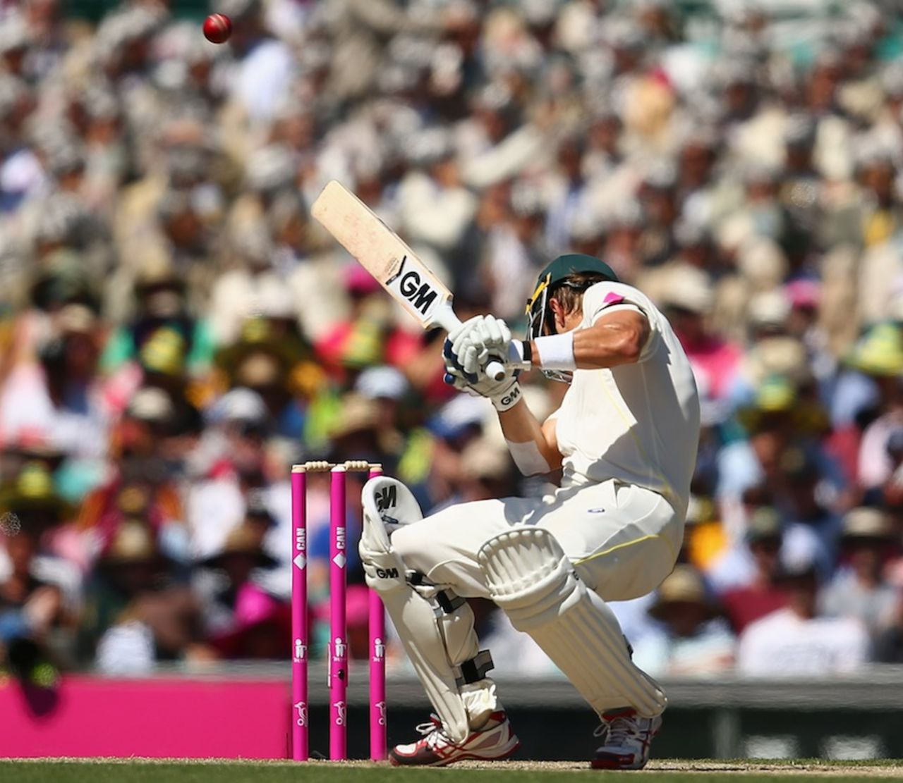 Shane Watson was struck by a bouncer, Australia v India, 4th Test, Sydney, 2nd day, January 7, 2015