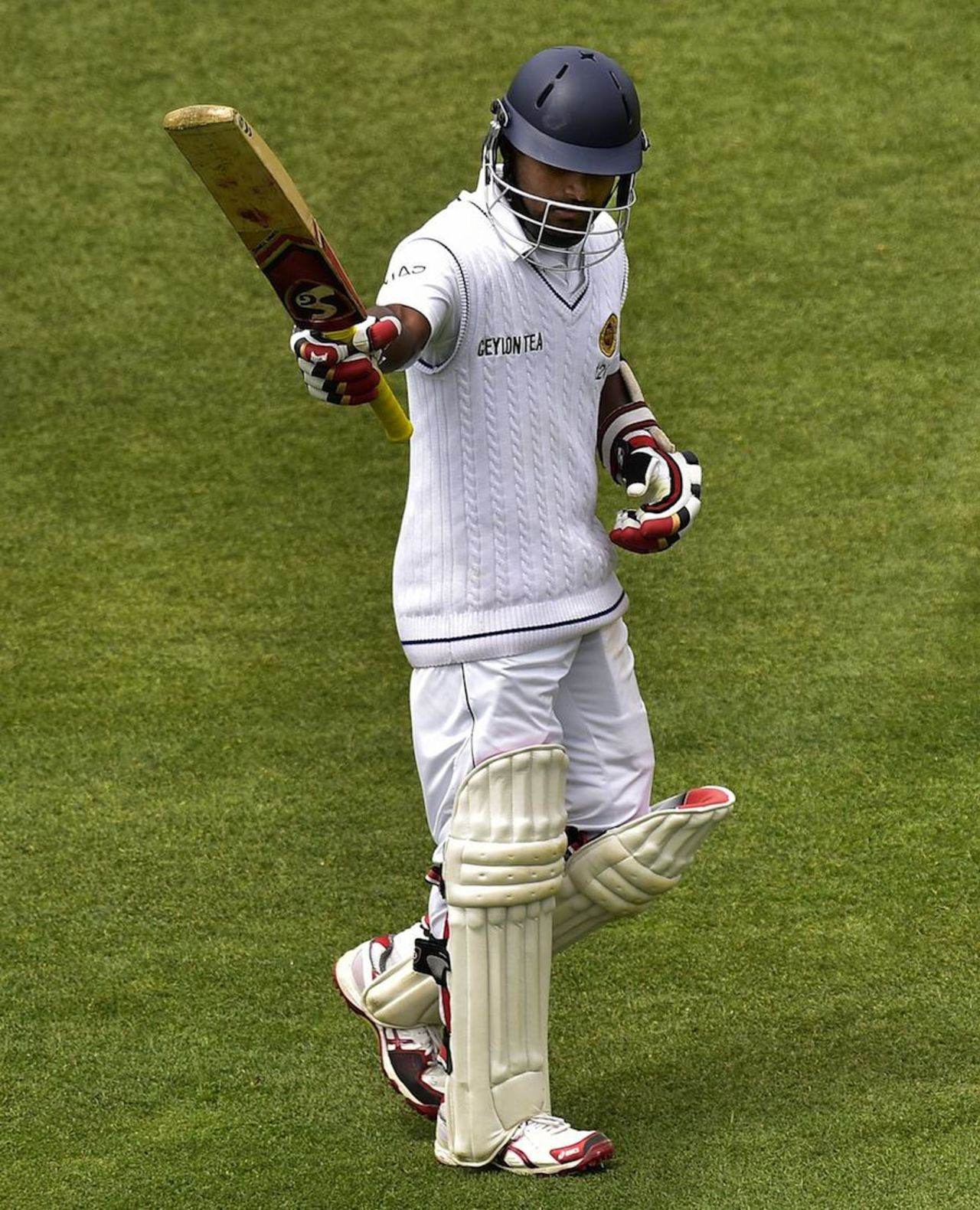 Kaushal Silva brings up his half-century, New Zealand v Sri Lanka, 2nd Test, Wellington, 5th day, January 7, 2015