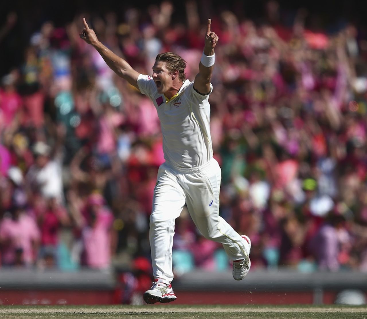 Shane Watson struck twice off successive deliveries, Australia v India, 4th Test, Sydney, 3rd day, January 8, 2015