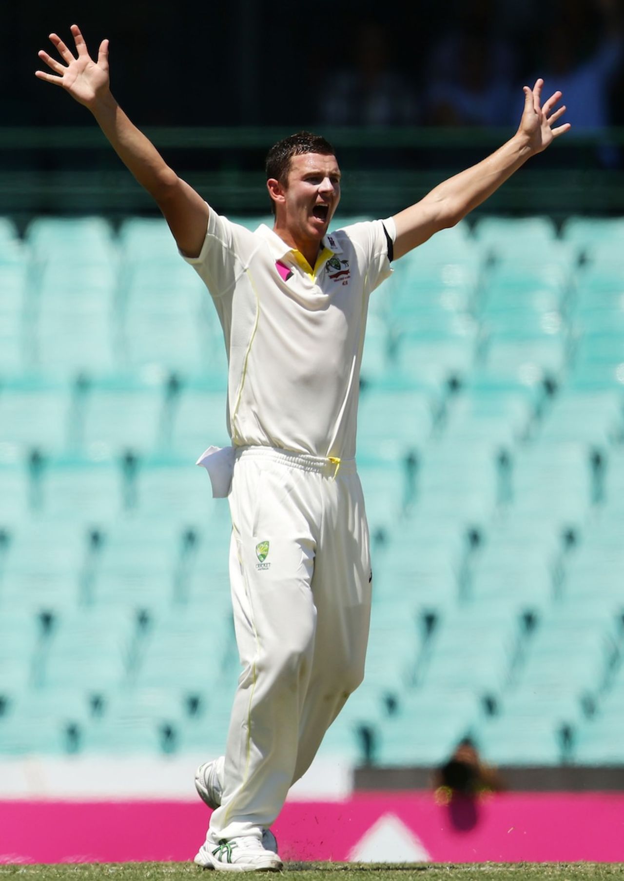 Josh Hazlewood appeals for a catch against Wriddhiman Saha, Australia v India, 4th Test, Sydney, 4th day, January 9, 2015