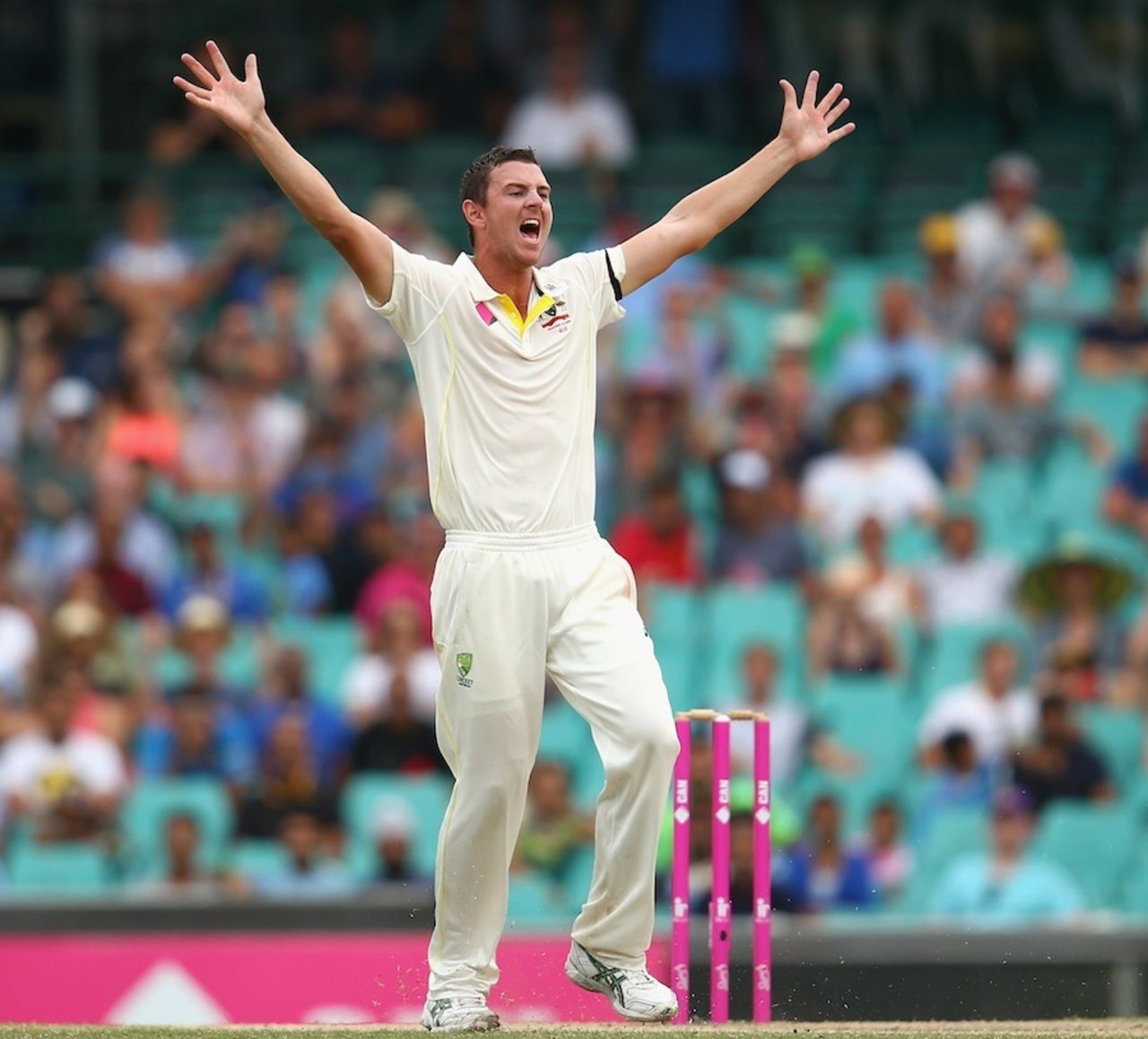 Josh Hazlewood trapped R Ashwin leg before, Australia v India, 4th Test, Sydney, 5th day, January 10, 2015