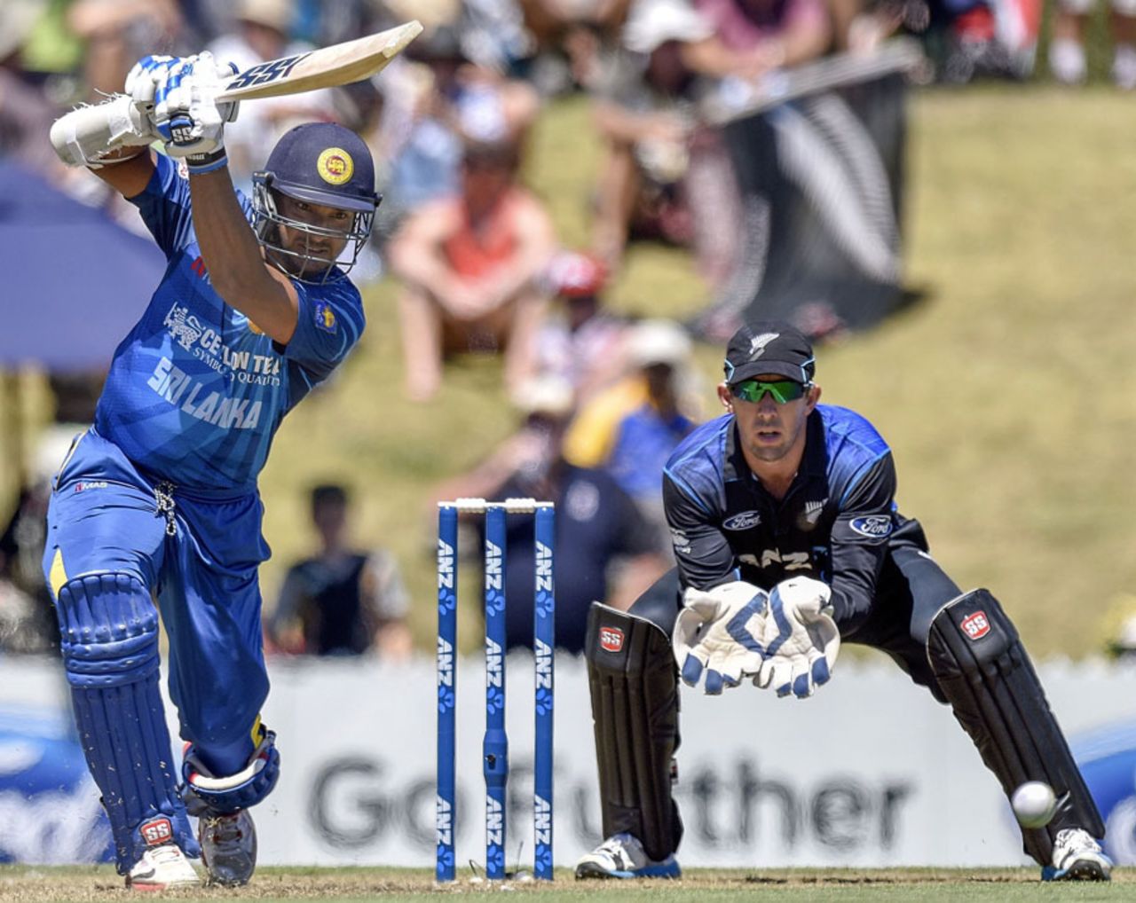 Kumar Sangakkara brings out his cover drive, New Zealand v Sri Lanka, 4th ODI, Nelson, January 20, 2015