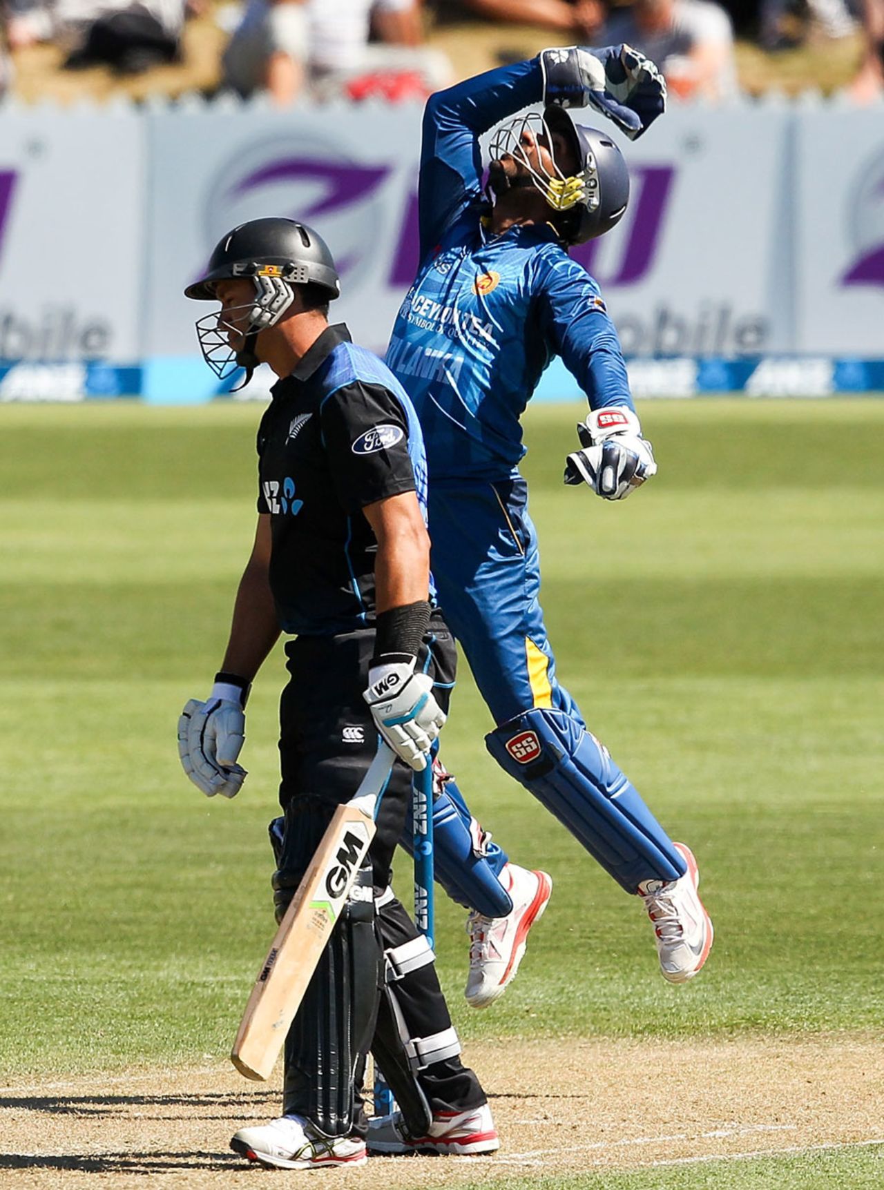 Kumar Sangakkara is delighted after taking the catch of Ross Taylor, New Zealand v Sri Lanka, 4th ODI, Nelson, January 20, 2015