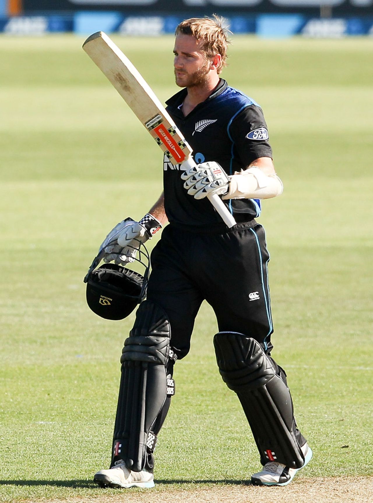 Kane Williamson made his fifth ODI century, New Zealand v Sri Lanka, 4th ODI, Nelson, January 20, 2015