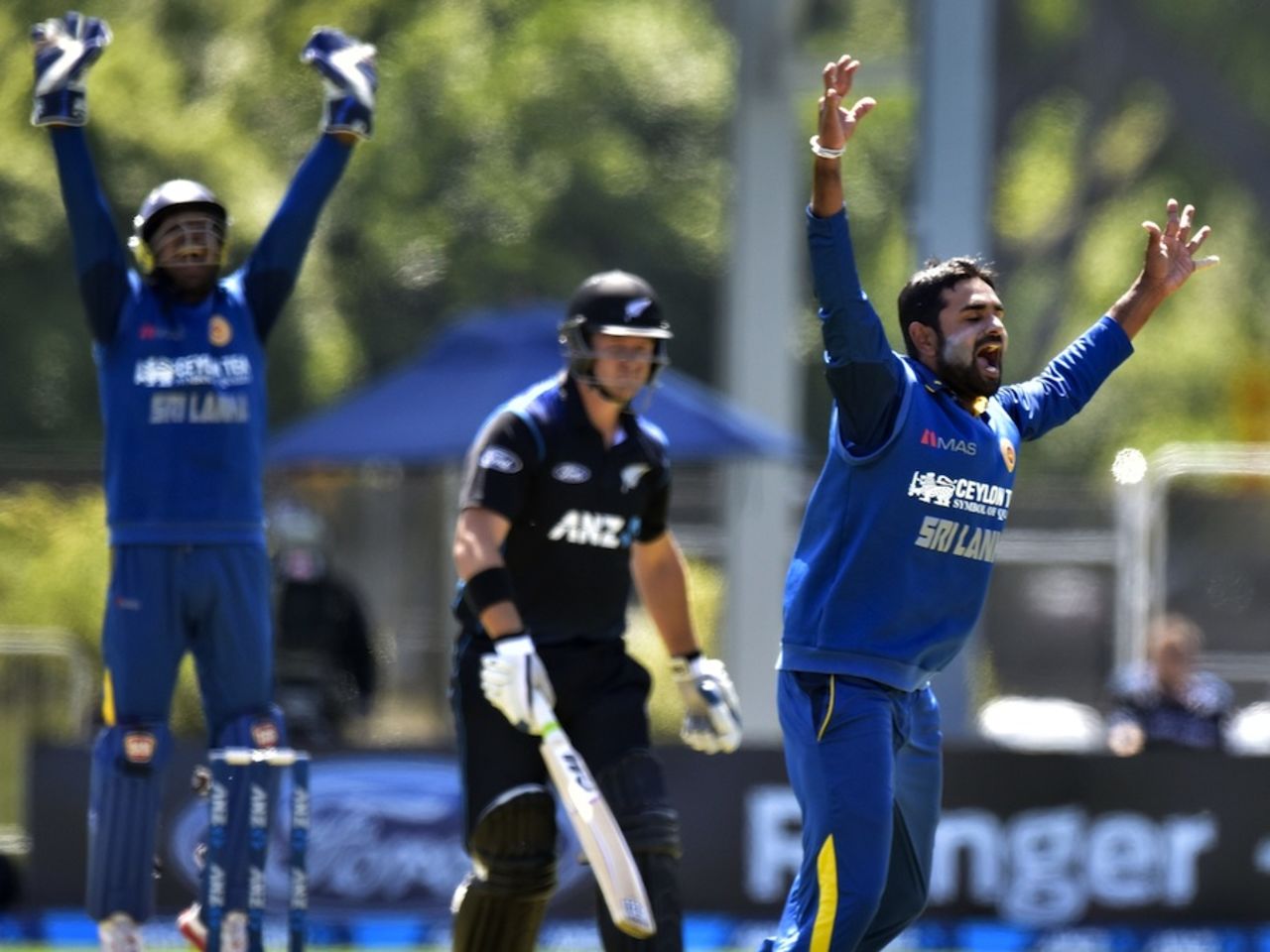 Stand-in captain Lahiru Thirimanne had Corey Anderson lbw, New Zealand v Sri Lanka, 5th ODI, Dunedin, January 23, 2015