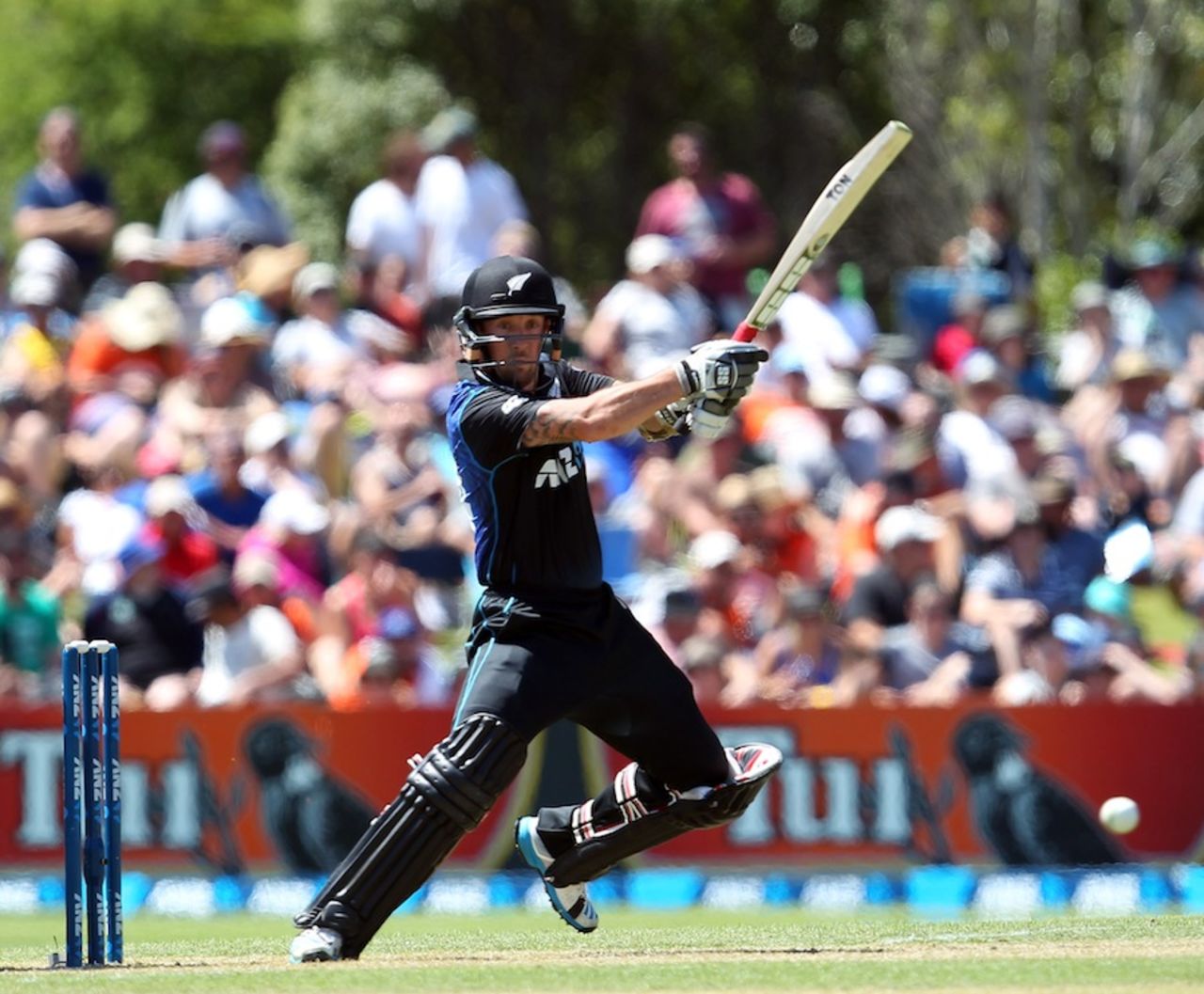 Luke Ronchi played an aggressive innings, New Zealand v Sri Lanka, 5th ODI, Dunedin, January 23, 2015