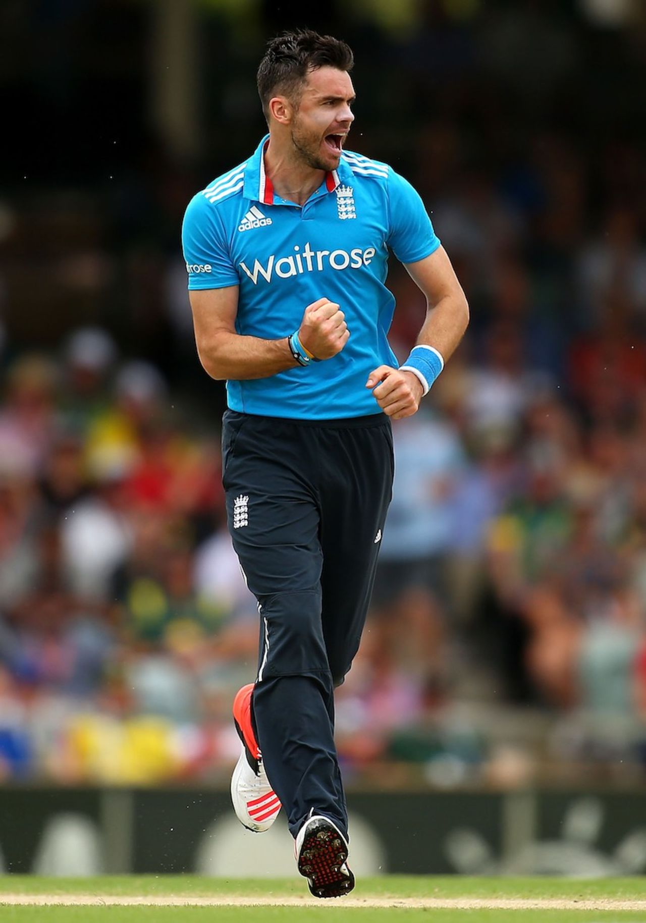 James Anderson dismissed Australia's openers, Australia v England, Carlton Mid Tri-series final, Perth, February 1, 2015
