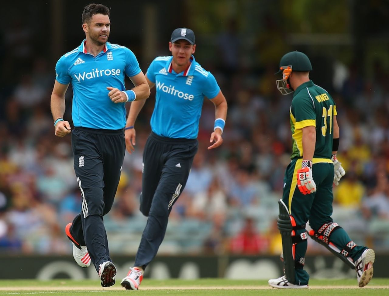James Anderson celebrates David Warner's wicket, Australia v England, Carlton Mid Tri-series final, Perth, February 1, 2015