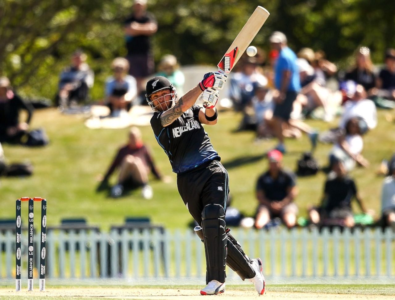 Brendon McCullum got to fifty at faster than a run a ball, New Zealand v South Africa, World Cup warm-up match, Christchurch, February 11, 2015