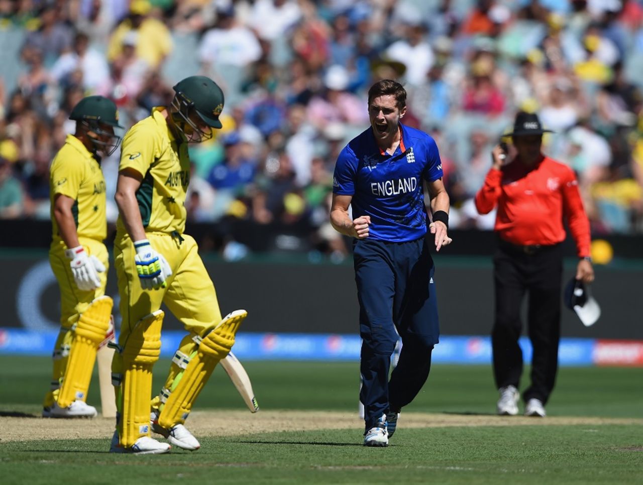 Chris Woakes is pumped up after dismissing Steven Smith, Australia v England, Group A, World Cup 2015, Melbourne, February 14, 2015