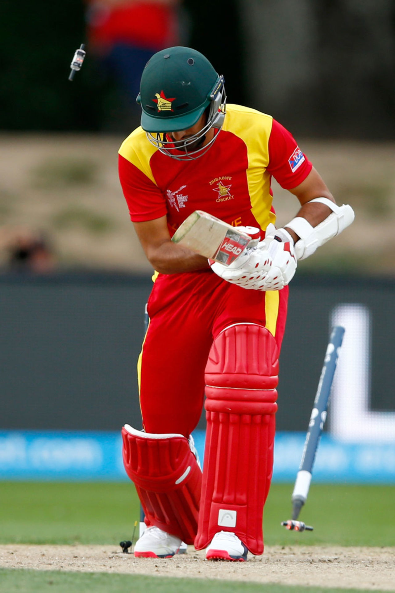 Sikandar Raza is bowled, South Africa v Zimbabwe, World Cup 2015, Group B, Hamilton, February 15, 2015