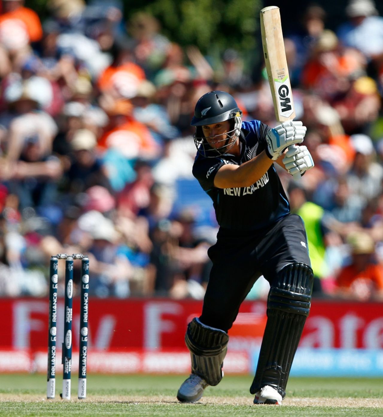 Ross Taylor drives through the covers, New Zealand v Scotland, World Cup 2015, Group A, Dunedin, February 17, 2015