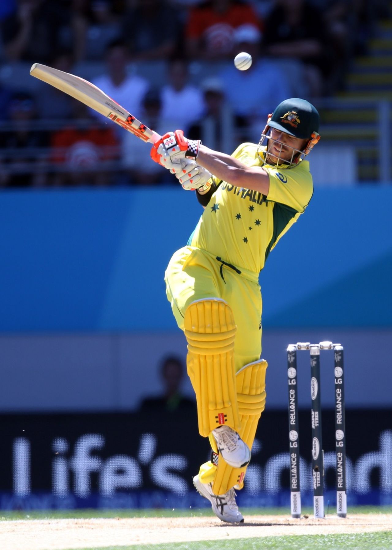 David Warner attempts a pull, New Zealand v Australia, World Cup 2015, Group A, Auckland, February 28, 2015