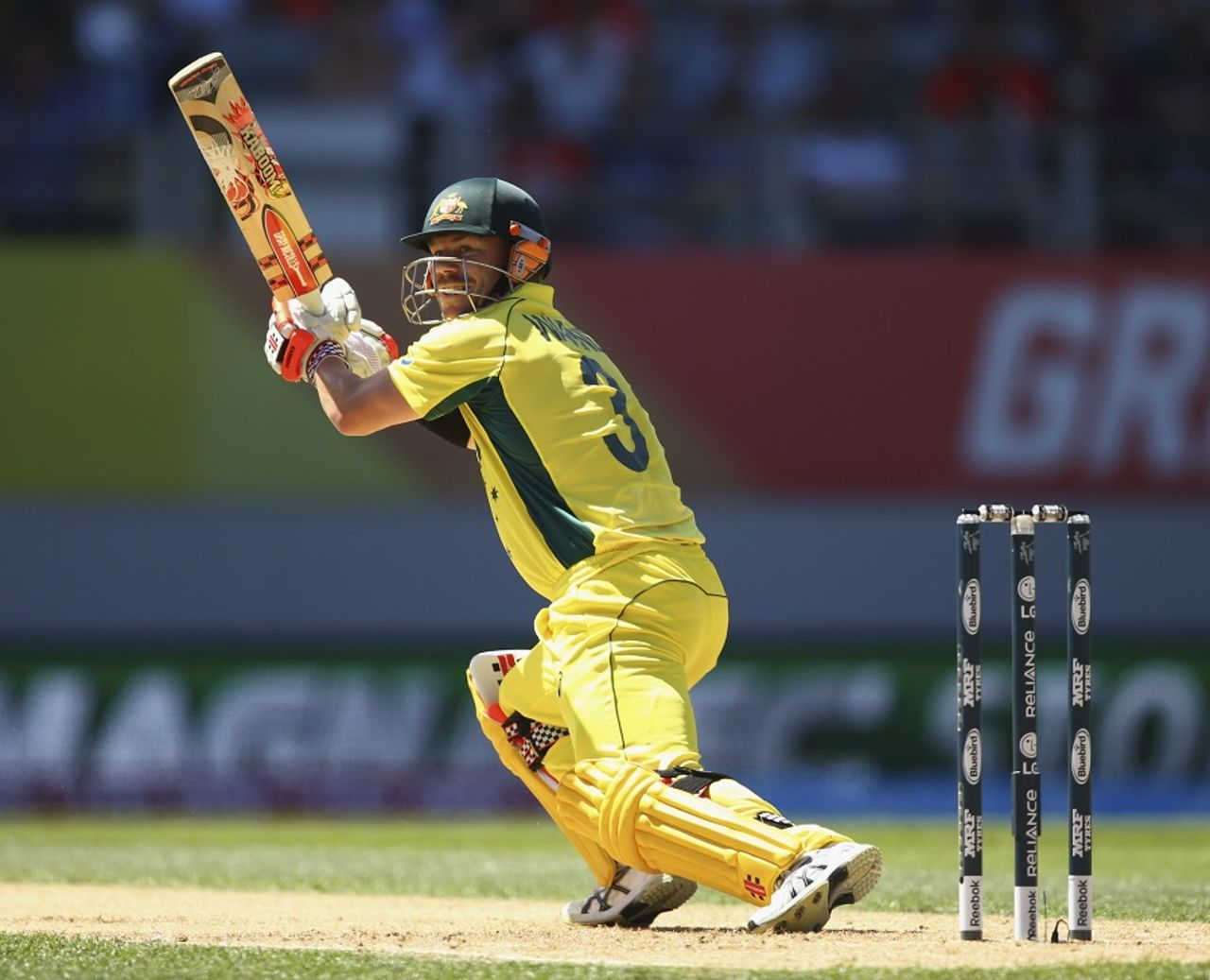 David Warner guides the ball through the off side, New Zealand v Australia, World Cup 2015, Group A, Auckland, February 28, 2015