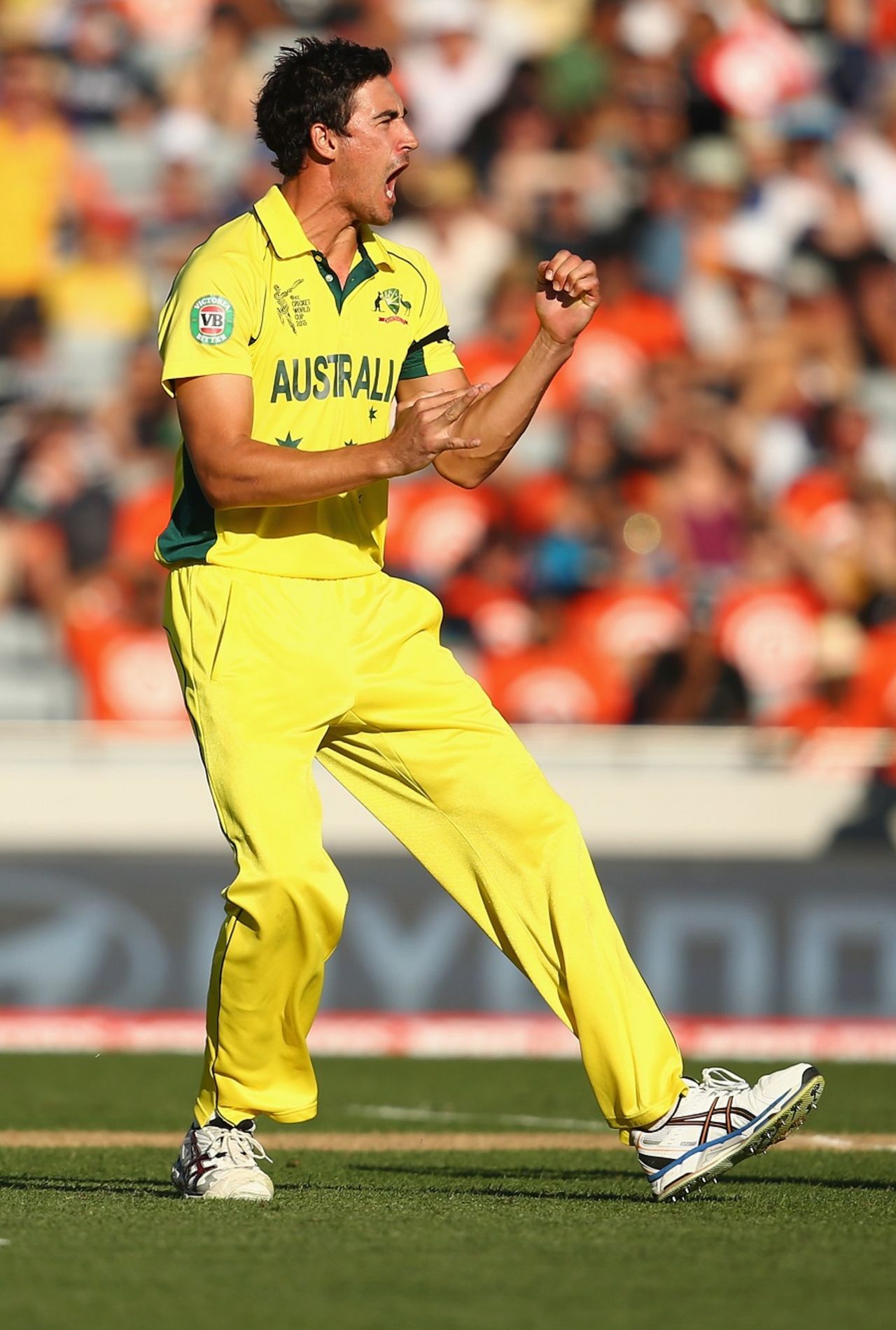 Mitchell Starc roars after taking a wicket, New Zealand v Australia, World Cup 2015, Group A, Auckland, February 28, 2015