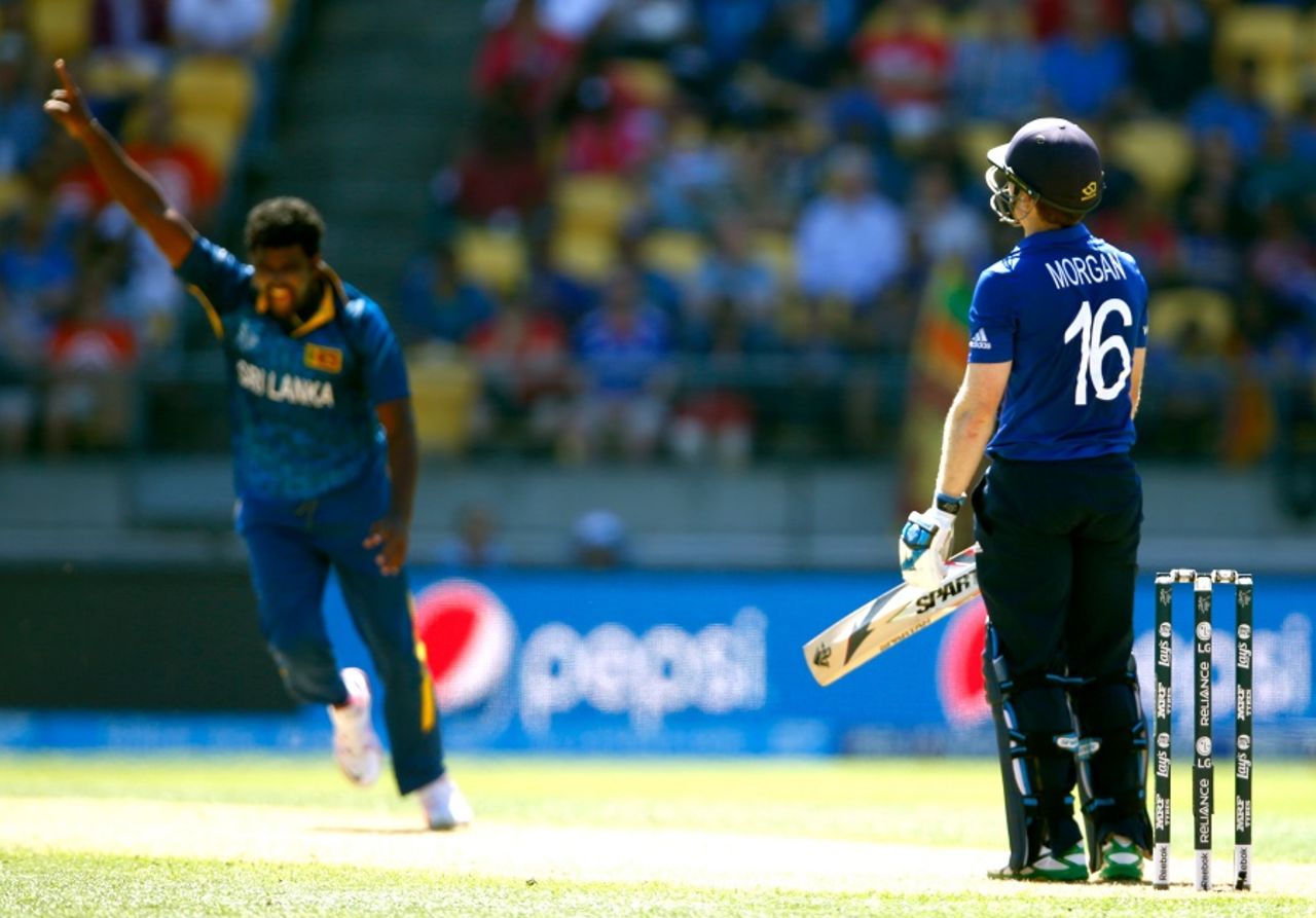 Thisara Perera is elated after drawing a mistake from Eoin Morgan, England v Sri Lanka, World Cup 2015, Group A, Wellington, March 1, 2015