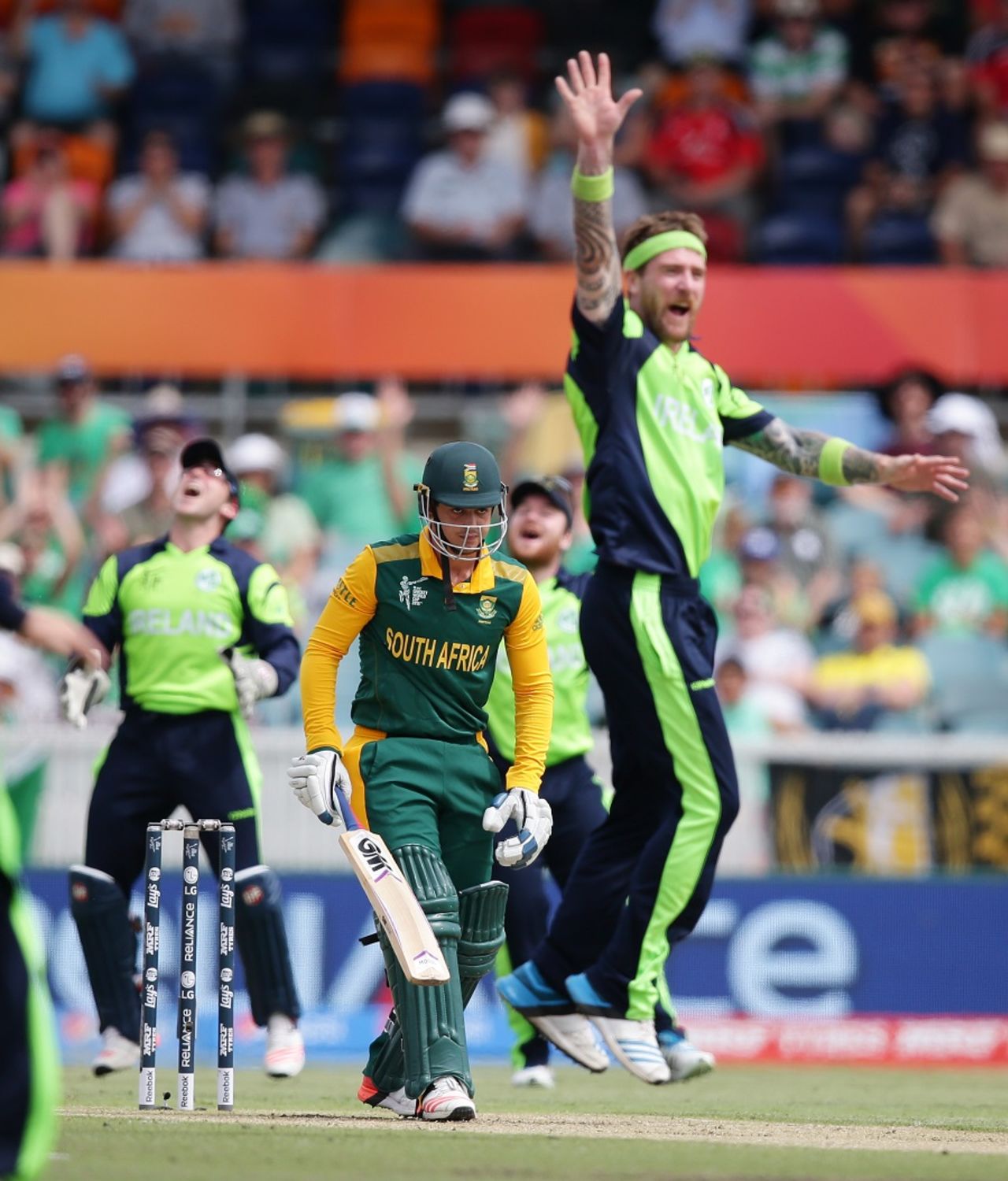 John Mooney reviewed and had Quinton de Kock caught behind, Ireland v South Africa, World Cup 2015, Group B, Canberra, March 3, 2015
