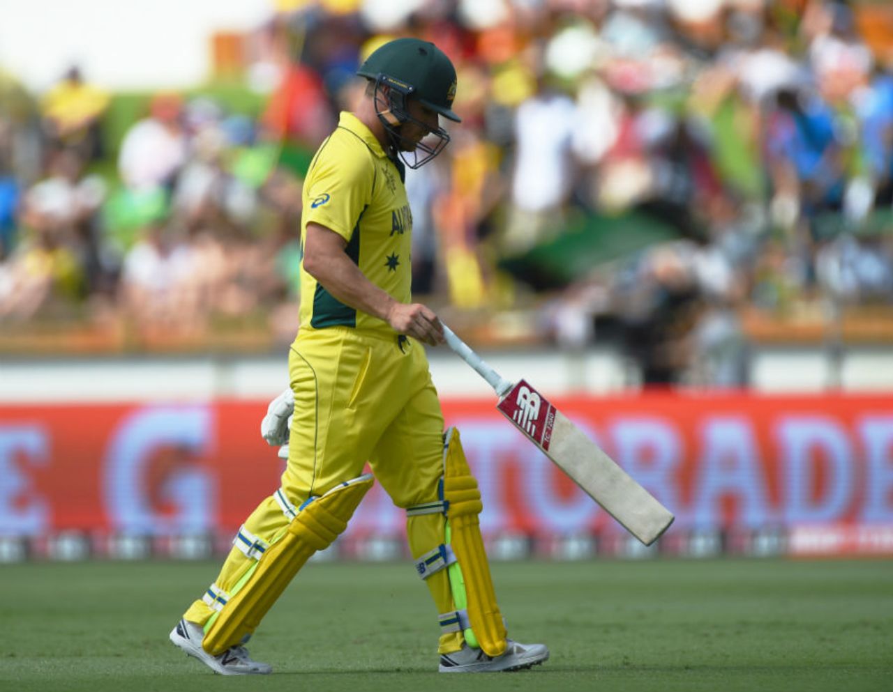 Aaron Finch walks off after being dismissed for 4, Australia v Afghanistan, World Cup 2015, Group A, Perth, March 4, 2015