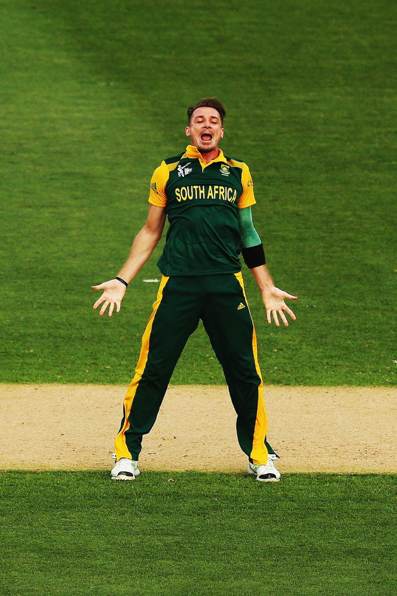 Dale Steyn is elated with the wicket of Misbah-ul-Haq, Pakistan v South Africa, World Cup 2015, Group B, Auckland, March 7, 2015