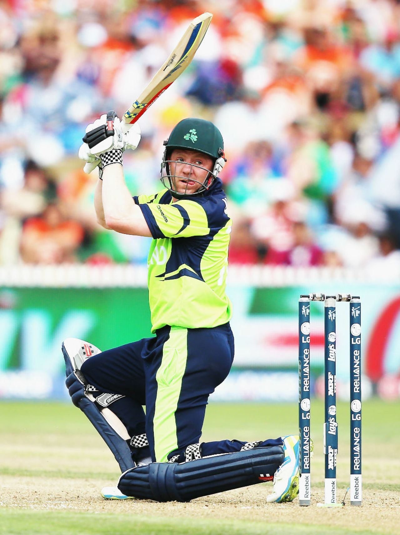 Niall O'Brien top-scored for Ireland with 75, India v Ireland, World Cup 2015, Group B, Hamilton, March 10, 2015