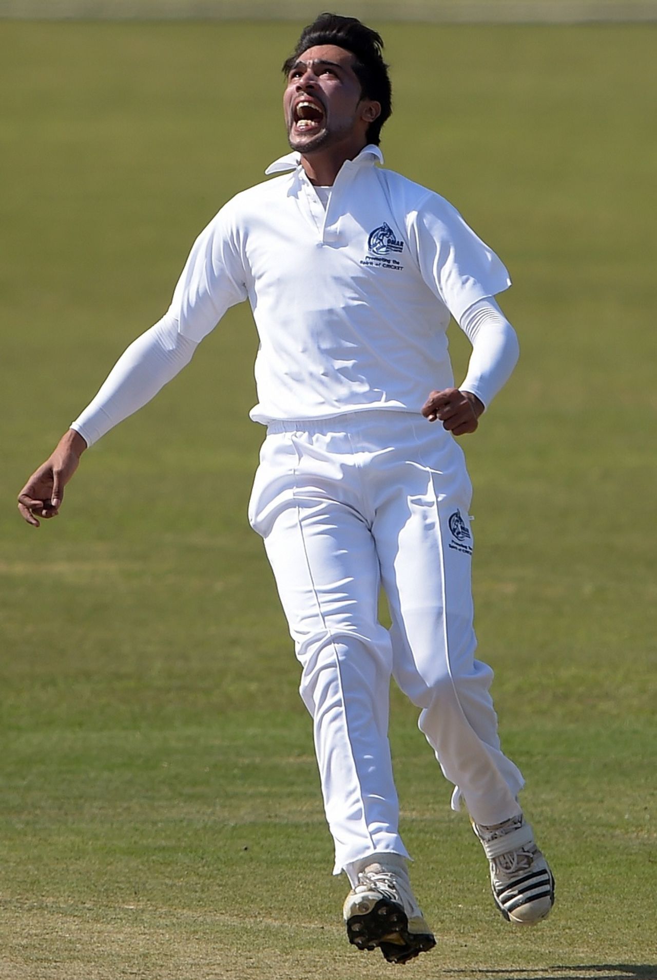 Mohammad Amir is pumped after taking a wicket after taking a wicket on his return to competitive cricket, Rawalpindi, March 13, 2015