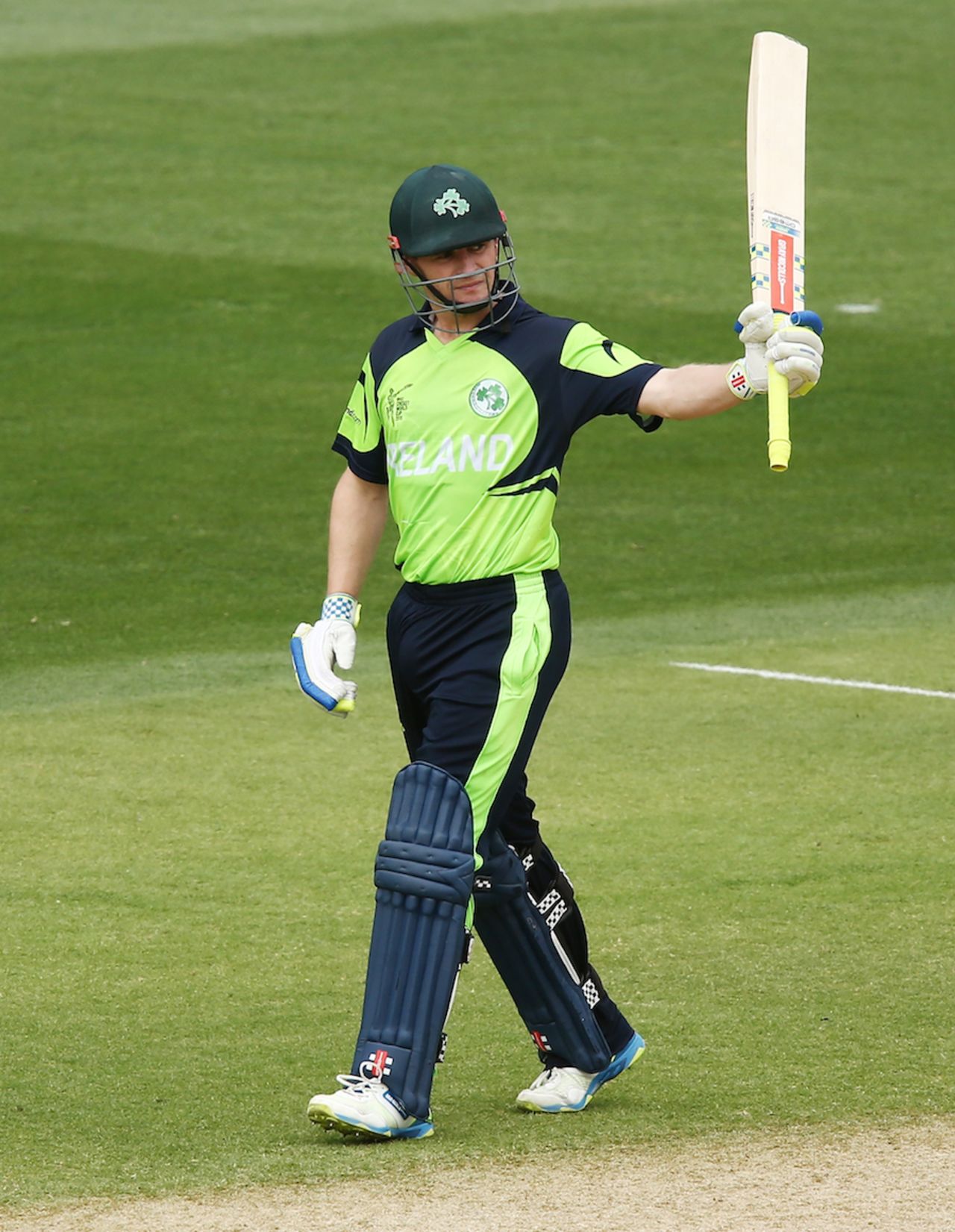 William Porterfield brought up his fifty off 59 balls, Ireland v Pakistan, World Cup 2015, Group B, Adelaide, March 15, 2015
