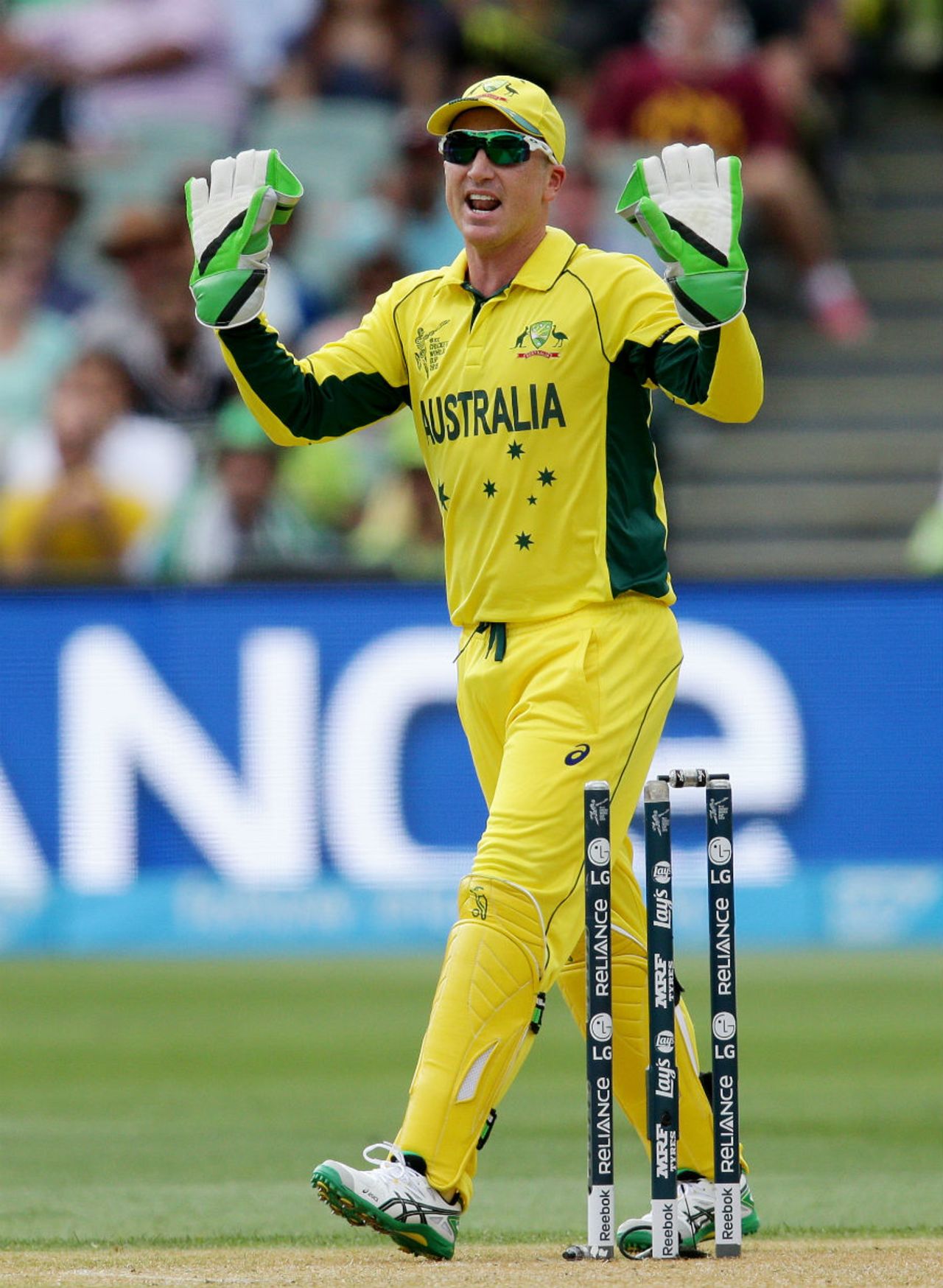 Brad Haddin gestures after accidentally knocking off the bails with his gloves, Australia v Pakistan, World Cup 2015, 3rd quarter-final, Adelaide, March 20, 2015