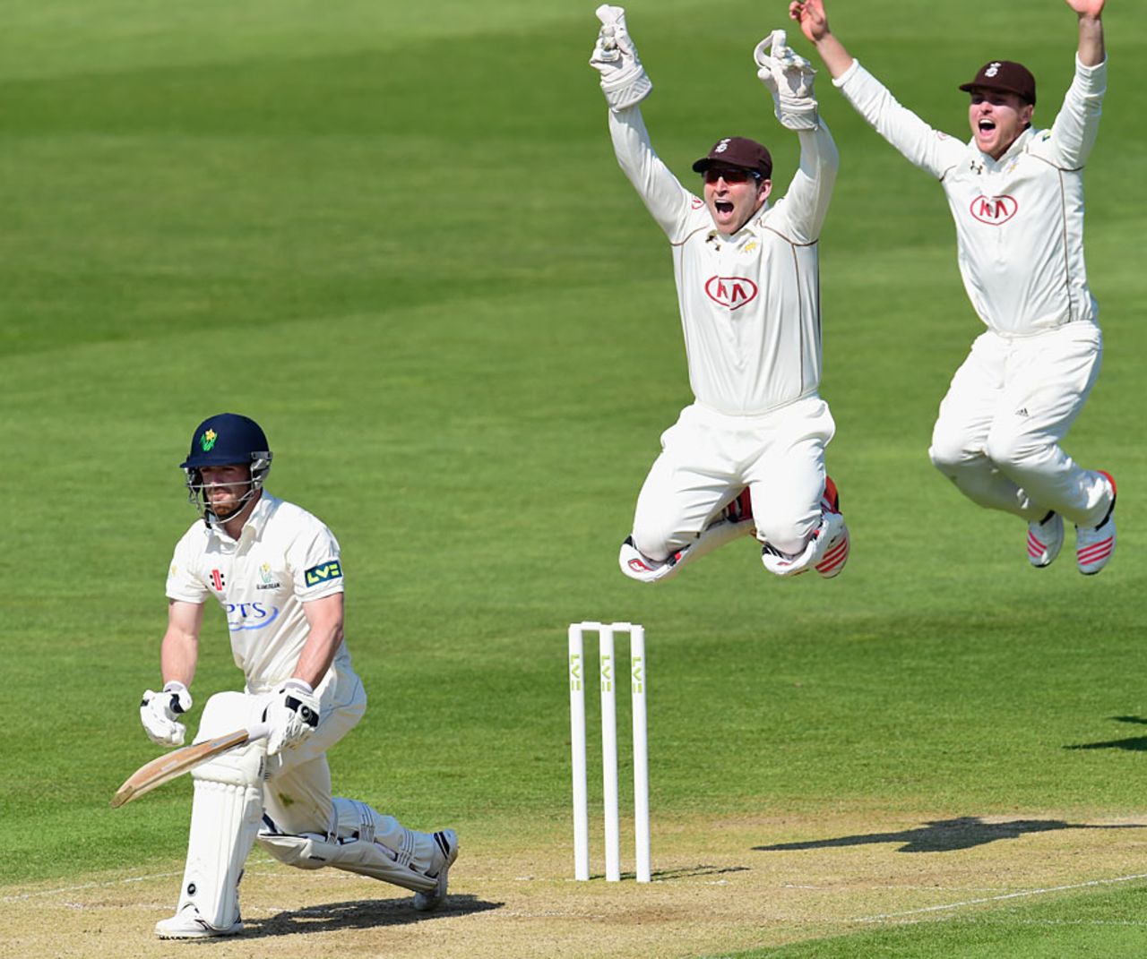 A strong appeal against David Lloyd proved successful, Glamorgan v Surrey, County Championship, Division Two, 3rd day, Cardiff, April 21, 2015