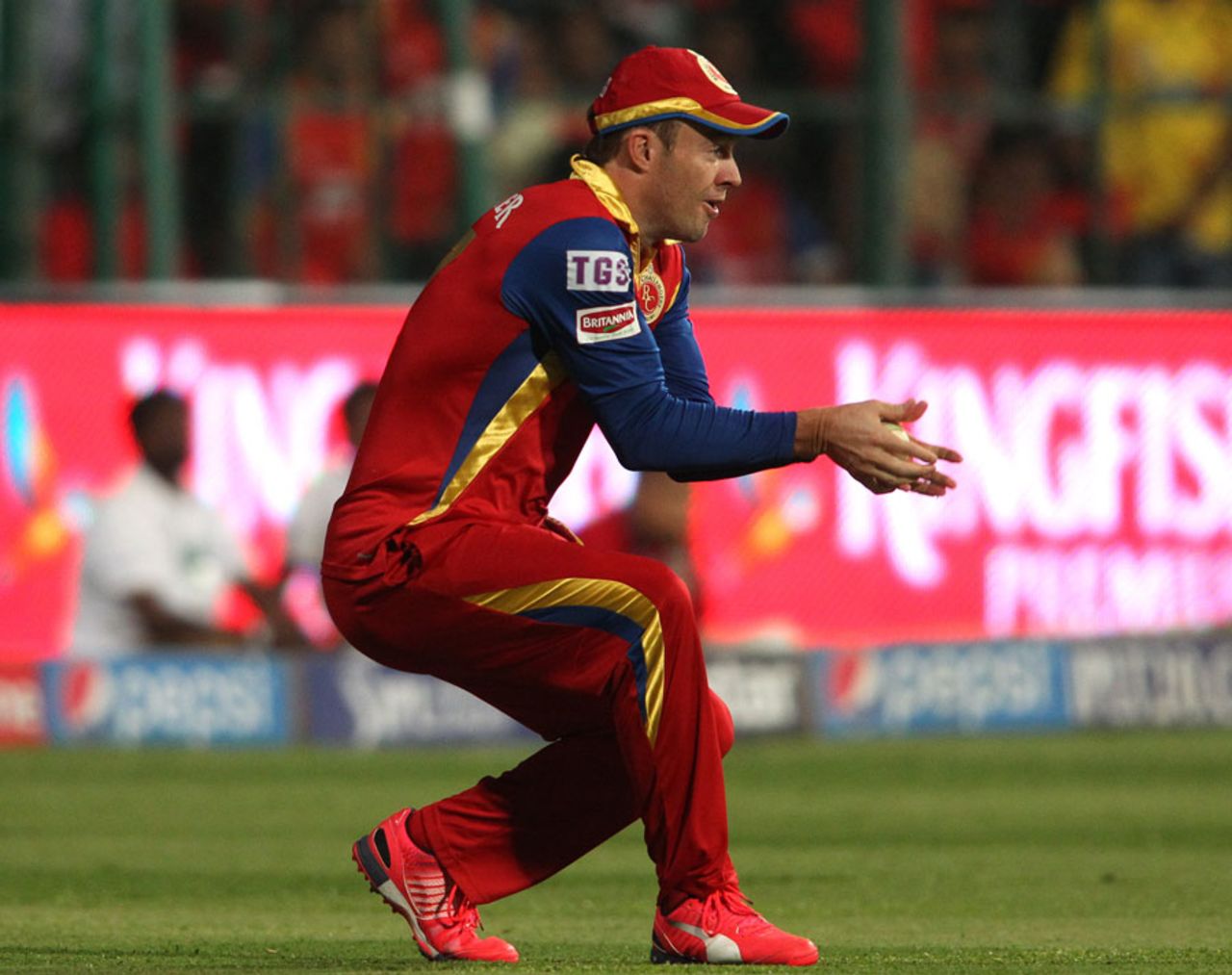 AB de Villiers holds on to a catch from MS Dhoni, Royal Challengers Bangalore v Chennai Super Kings, IPL 2015, Bangalore, April 22, 2015