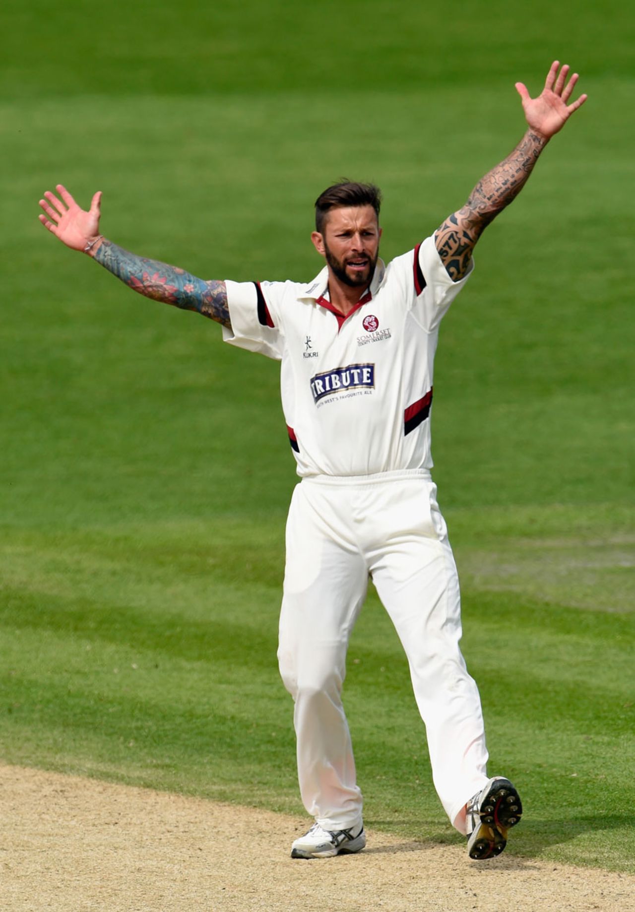 Peter Trego's two wickets put Somerset on top, Worcestershire v Somerset, County Championship Division One, New Road, 2nd day, May 4, 2015