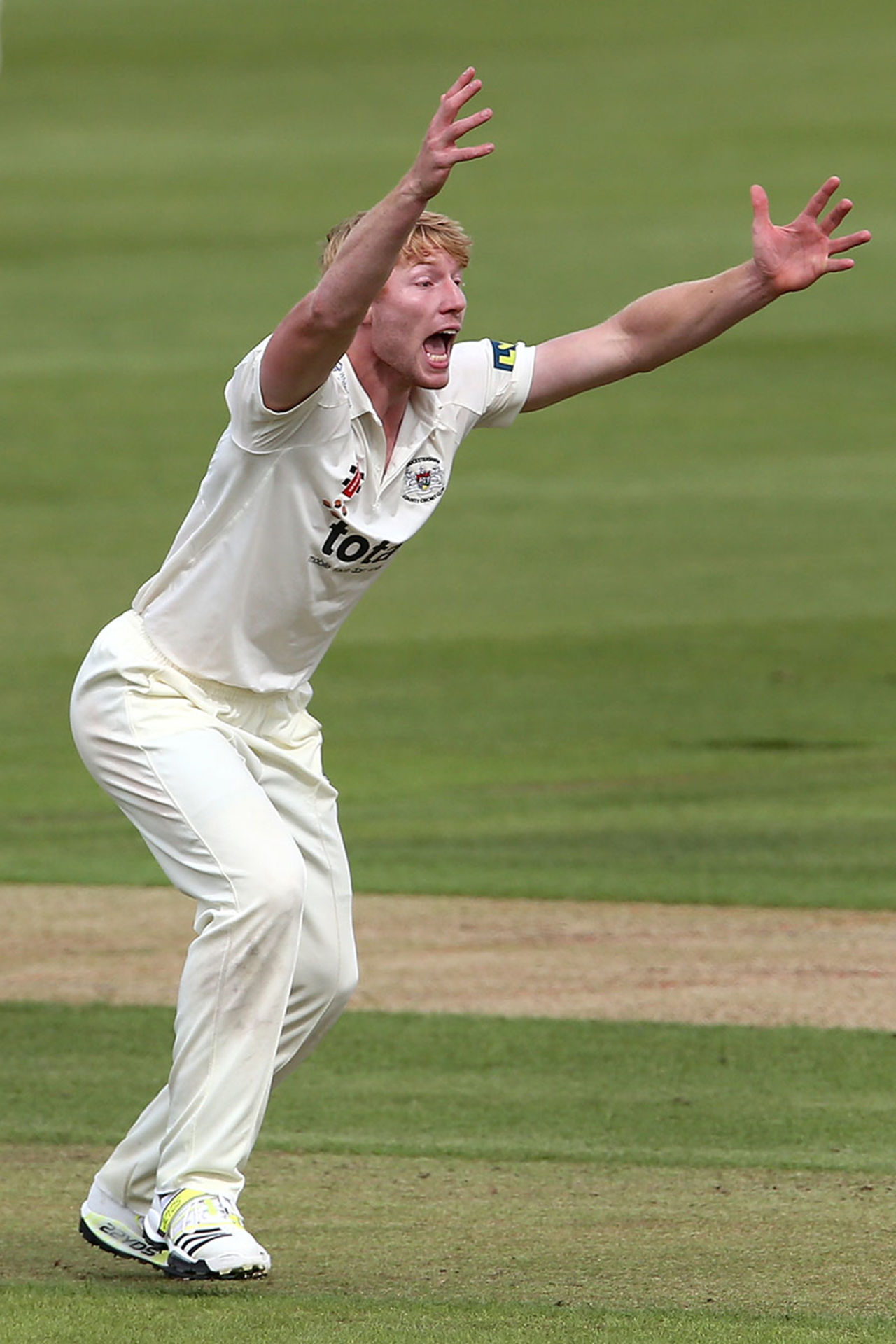 Liam Norwell roars an appeal, Hampshire v Gloucestershire, County Championship Division Two, Ageas Bowl, 1st day, July 7, 2014