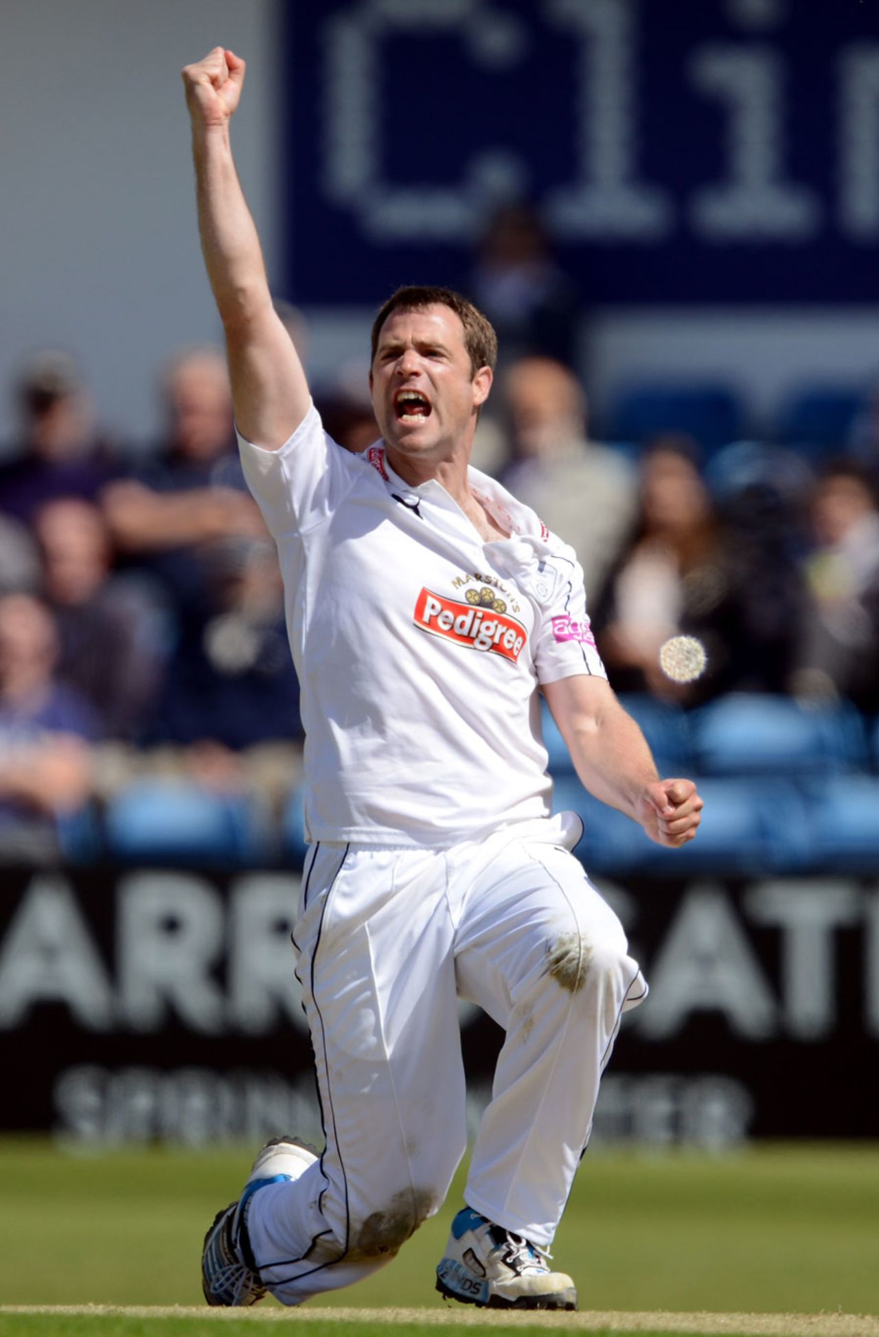 James Tomlinson picked up 4 for 86, Yorkshire v Hampshire, County Championship, Division One, Headingley, 2nd day, May 11, 2015