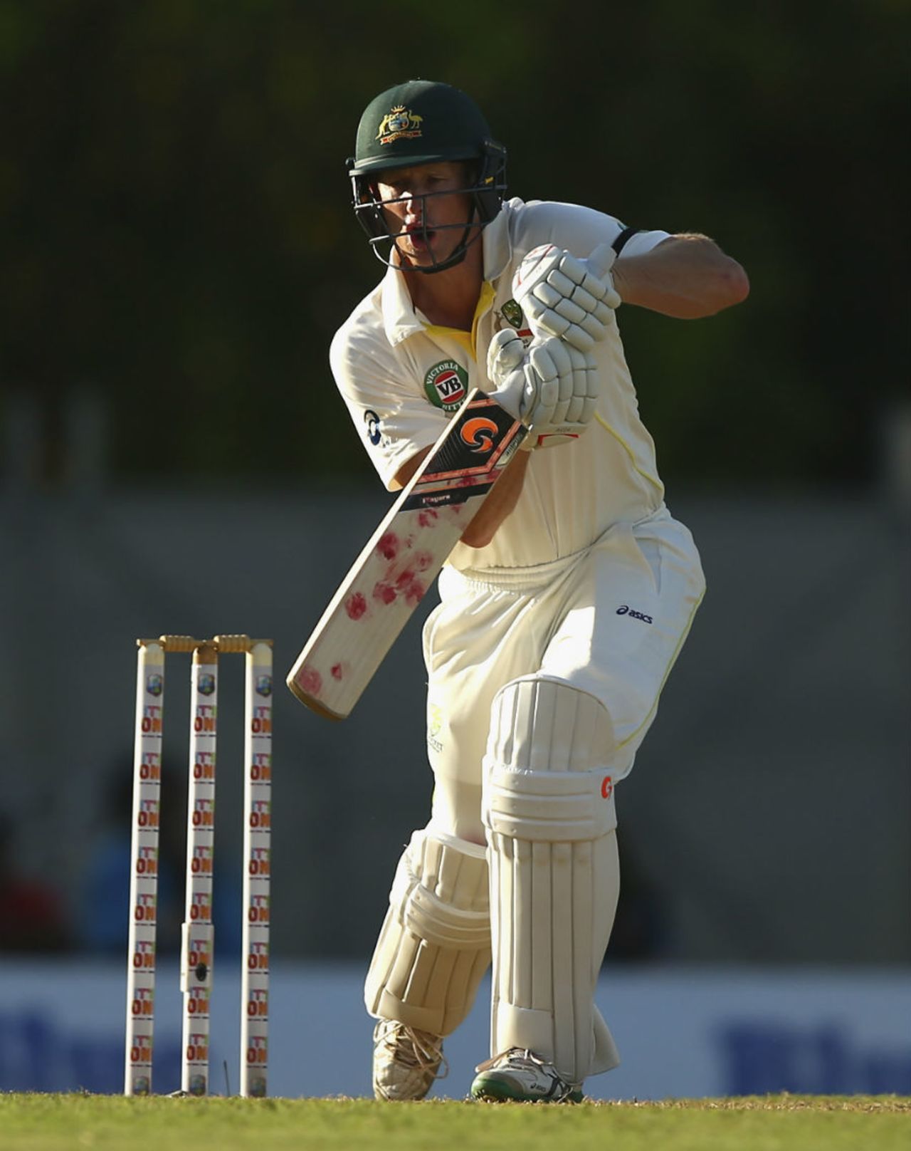 Adam Voges remained not out on 20 at stumps, West Indies v Australia, 1st Test, 1st day, Roseau, June 3, 2015