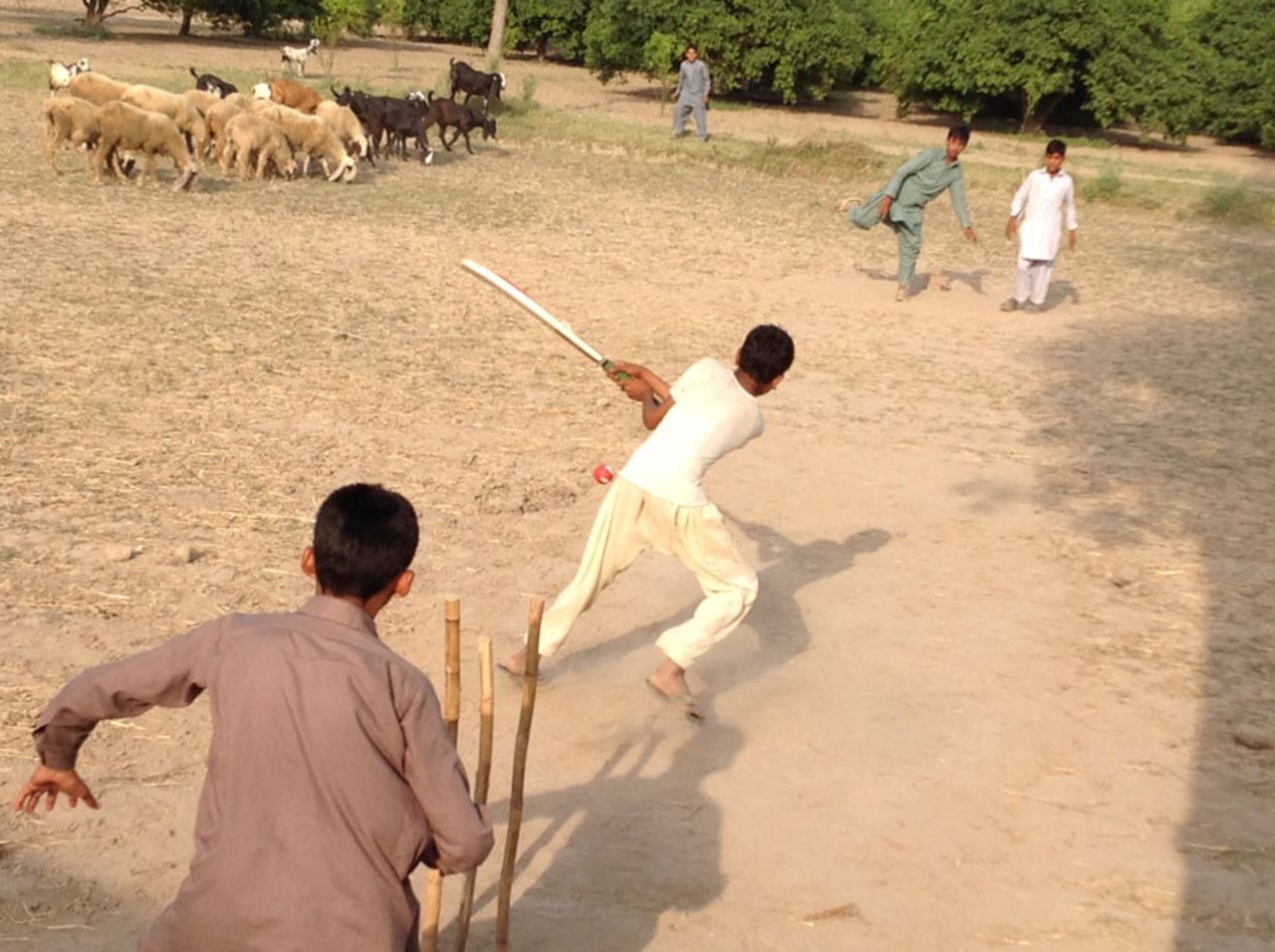 <b>Zia Imran:</b> I took this picture of kids playing cricket in my village in Pakistan on a patch of land next to a citrus orchard. The patch had wheat grown on it and the kids took the time to level the ground for a makeshift pitch.