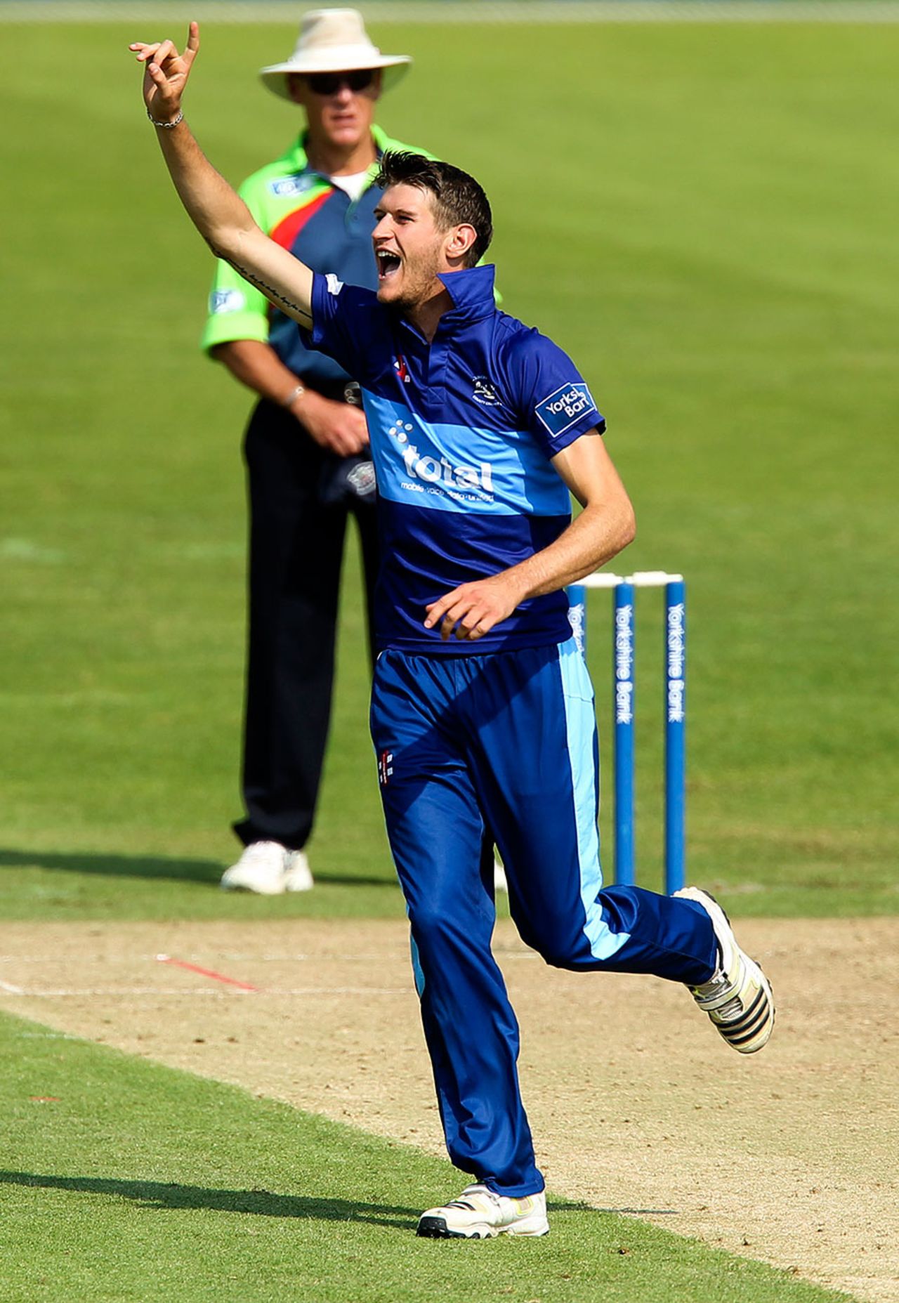 David Payne celebrates a wicket, Bristol, August 26, 2013